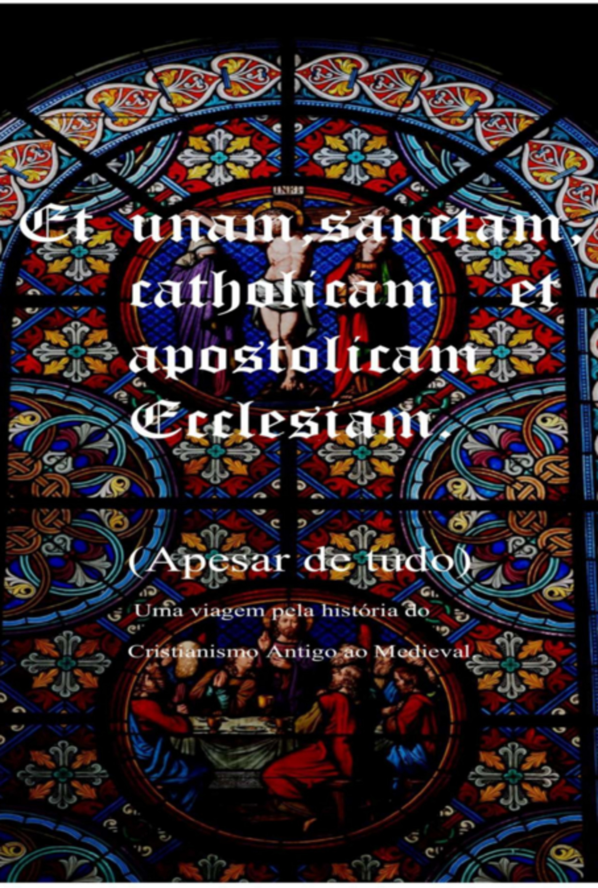 Et Unam Sanctam Catholicam Et Apostolicam Ecclesian (apesar De Tudo) Uma Viagem Pela História Do Cristianismo Antigo Ao Medieval