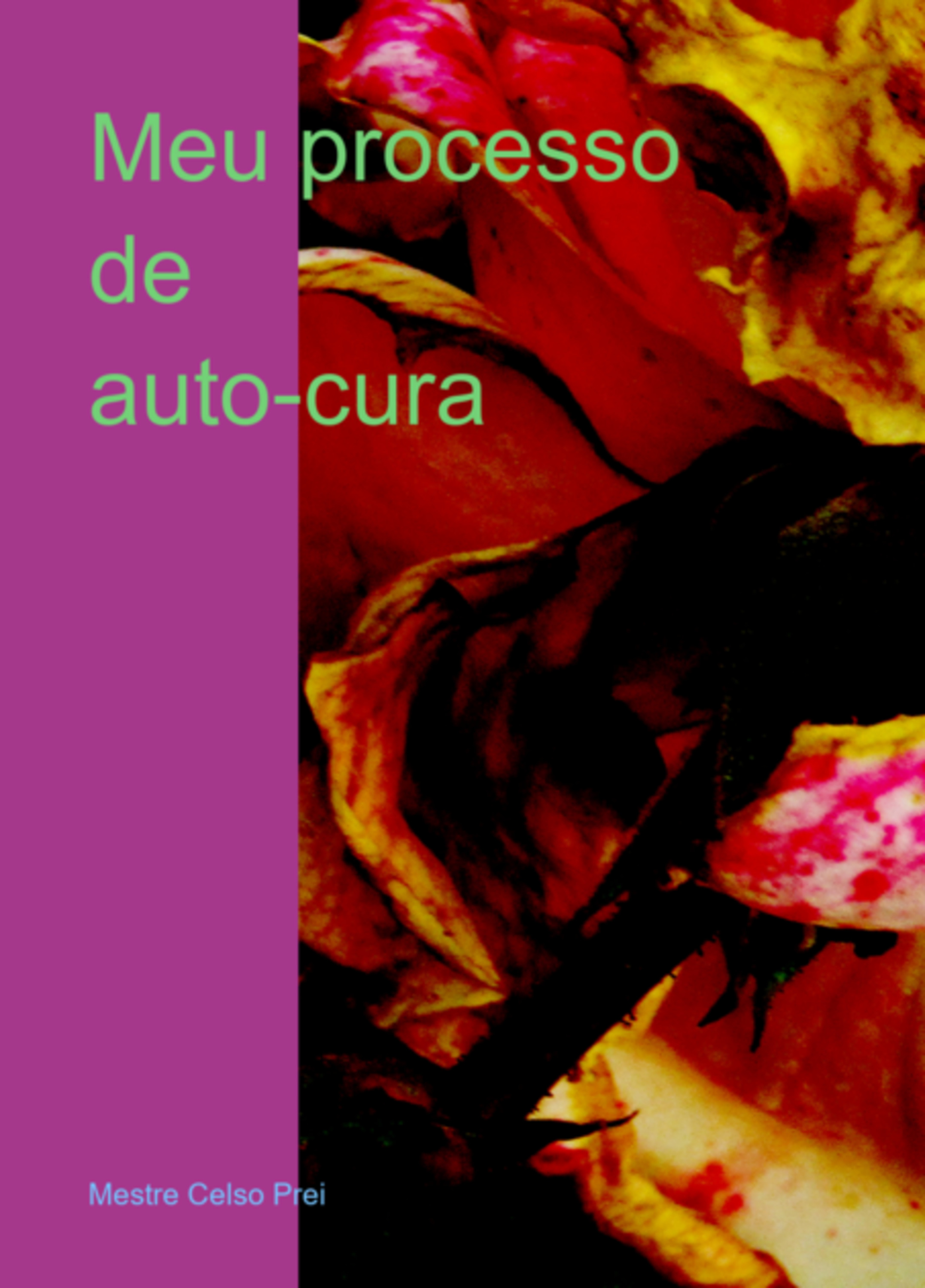 Eu Processo De Auto-cura