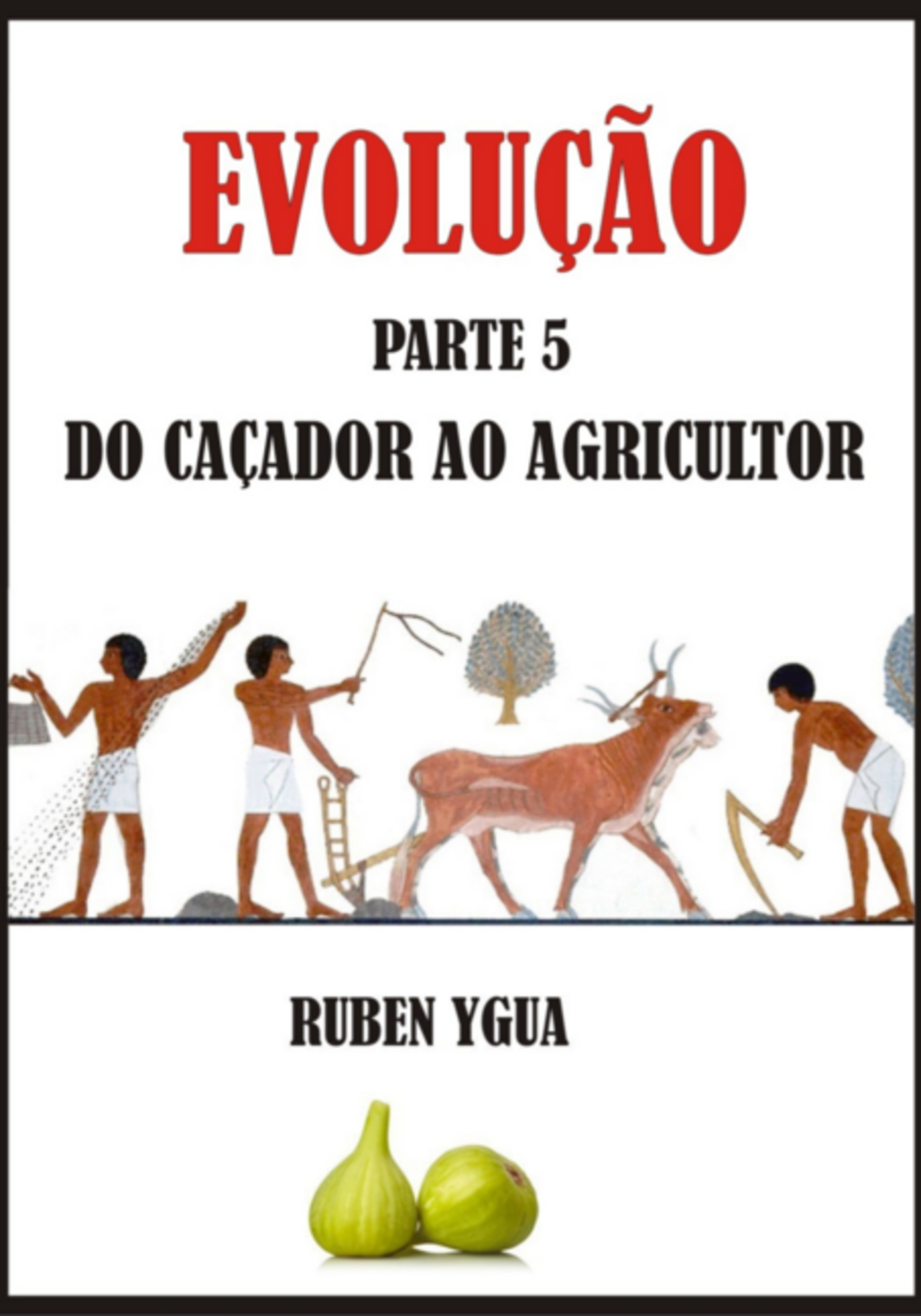 Evolução- Do Caçador Ao Agricultor