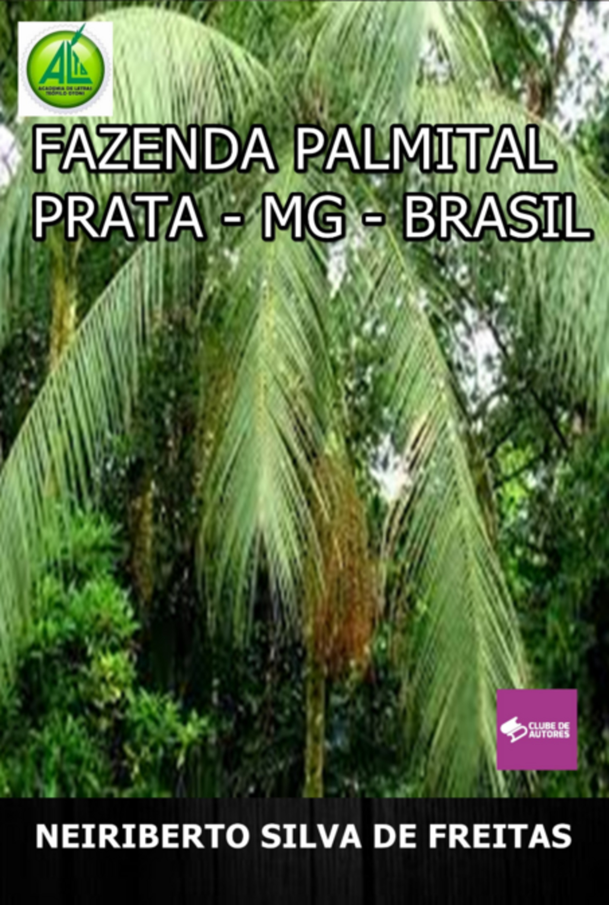 Fazenda Palmital Prata-mg-brasil