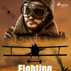 Fighting the Flying Circus