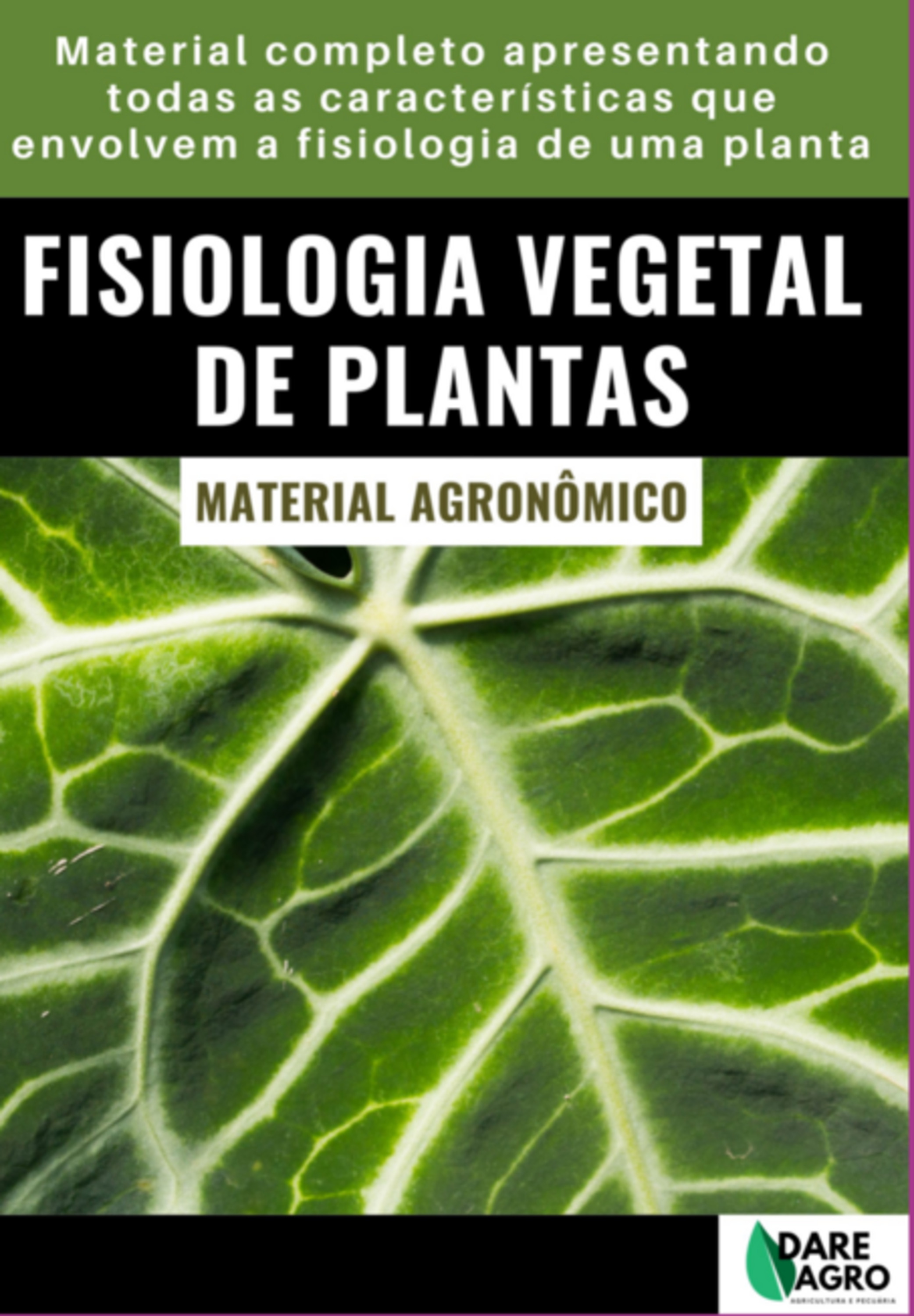 Fisiologia Vegetal De Plantas