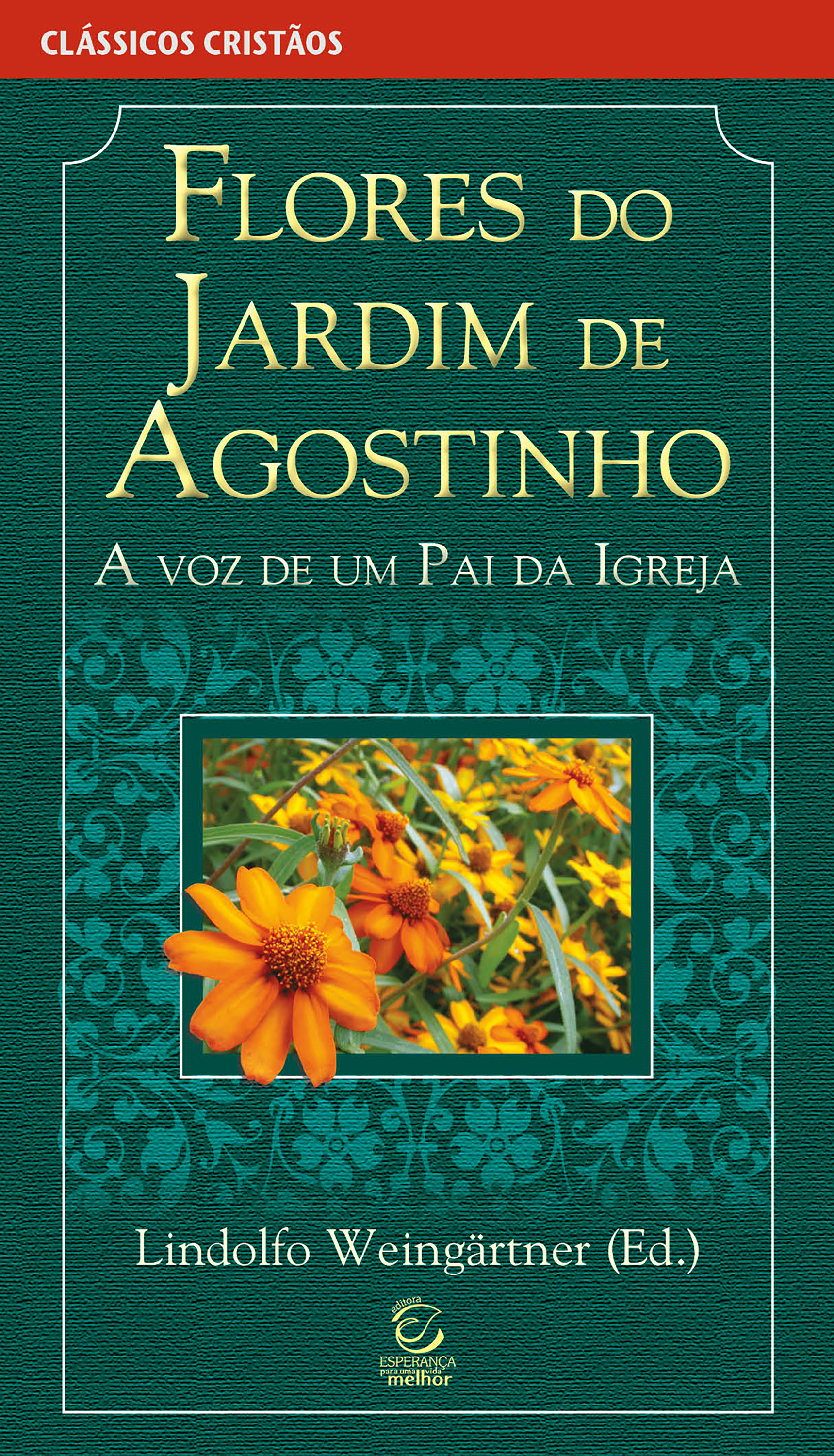 Flores do jardim de Agostinho - eBook