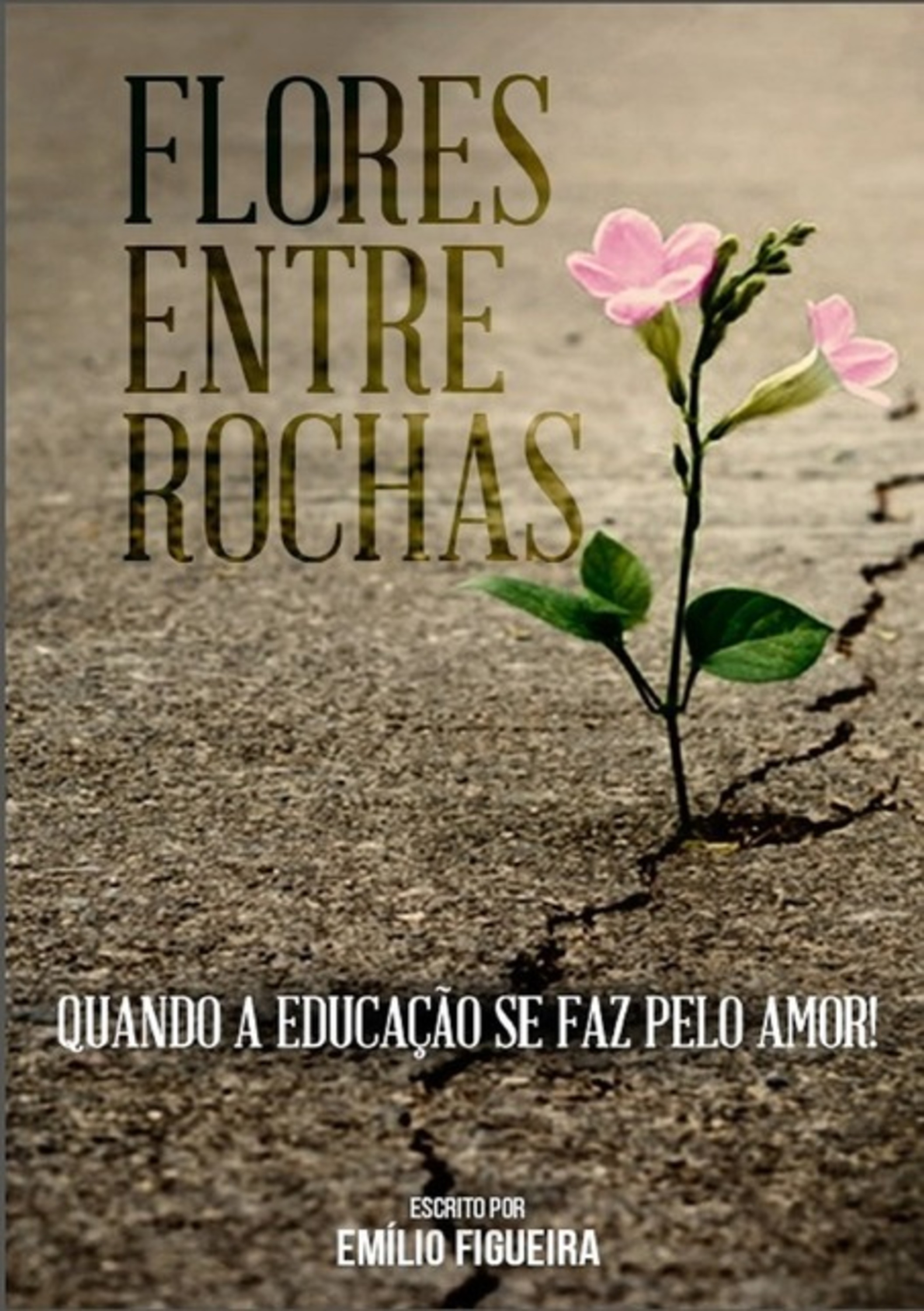 Flores Entre Rochas
