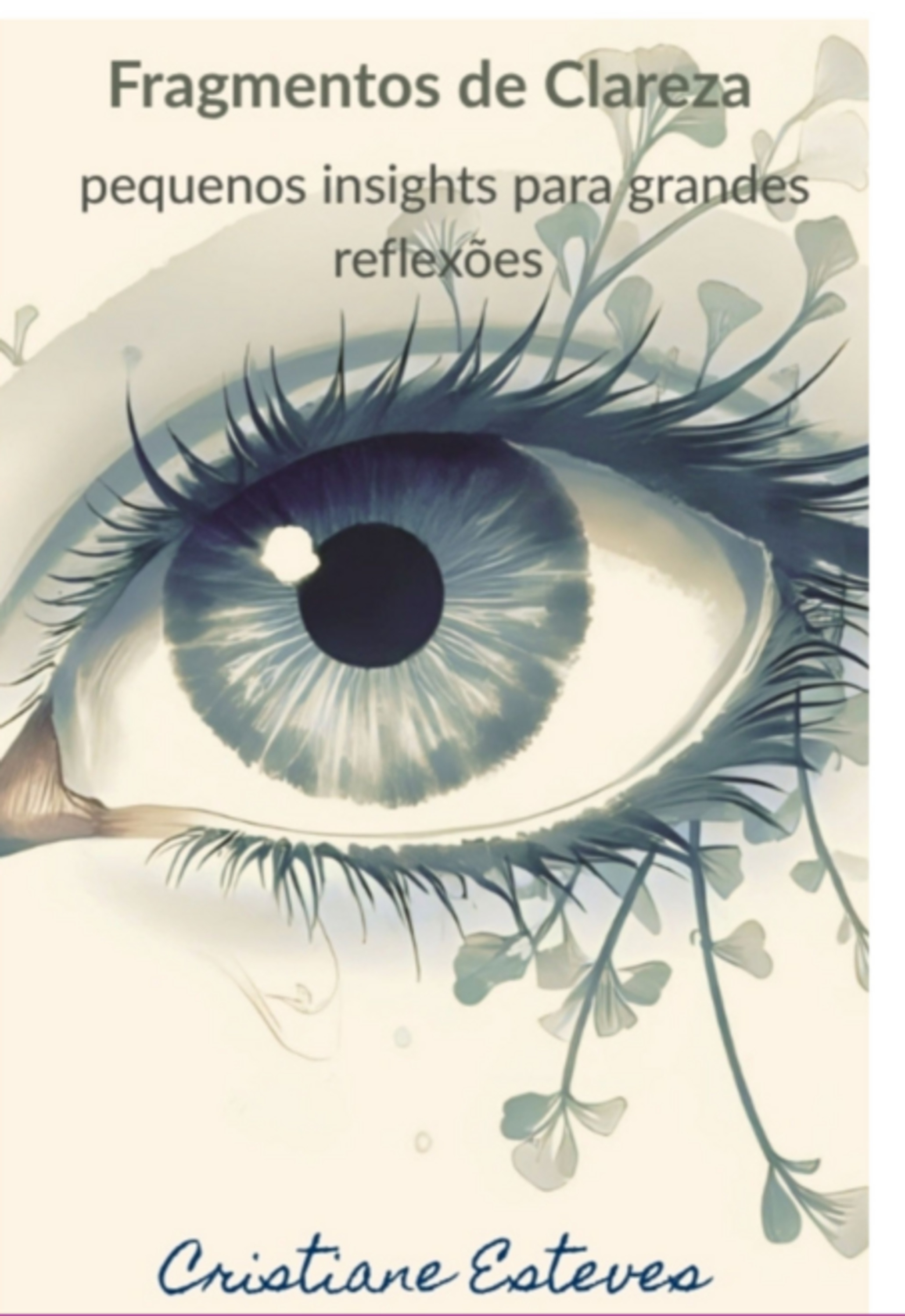 Fragmentos De Clareza