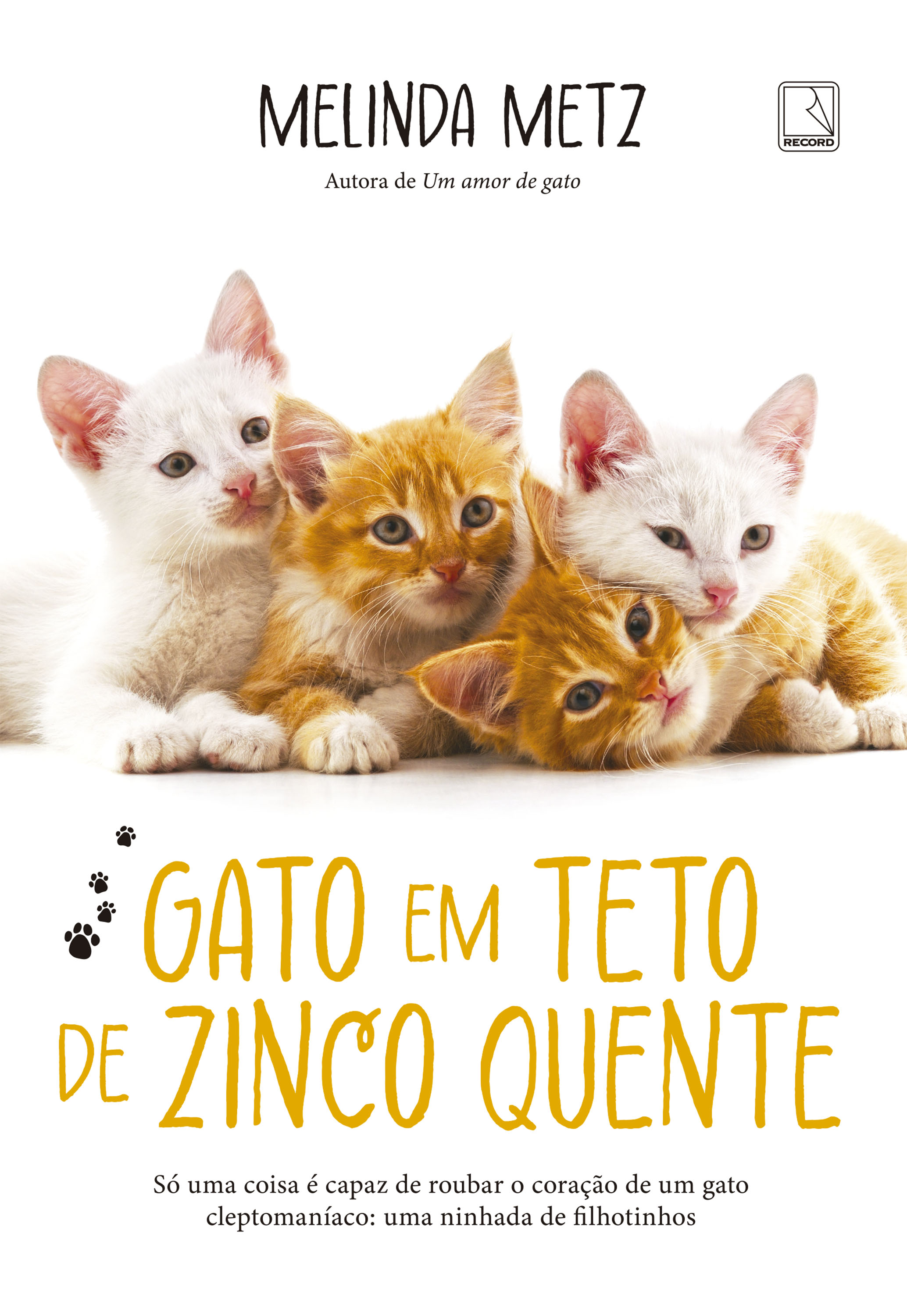 Gato em teto de zinco quente