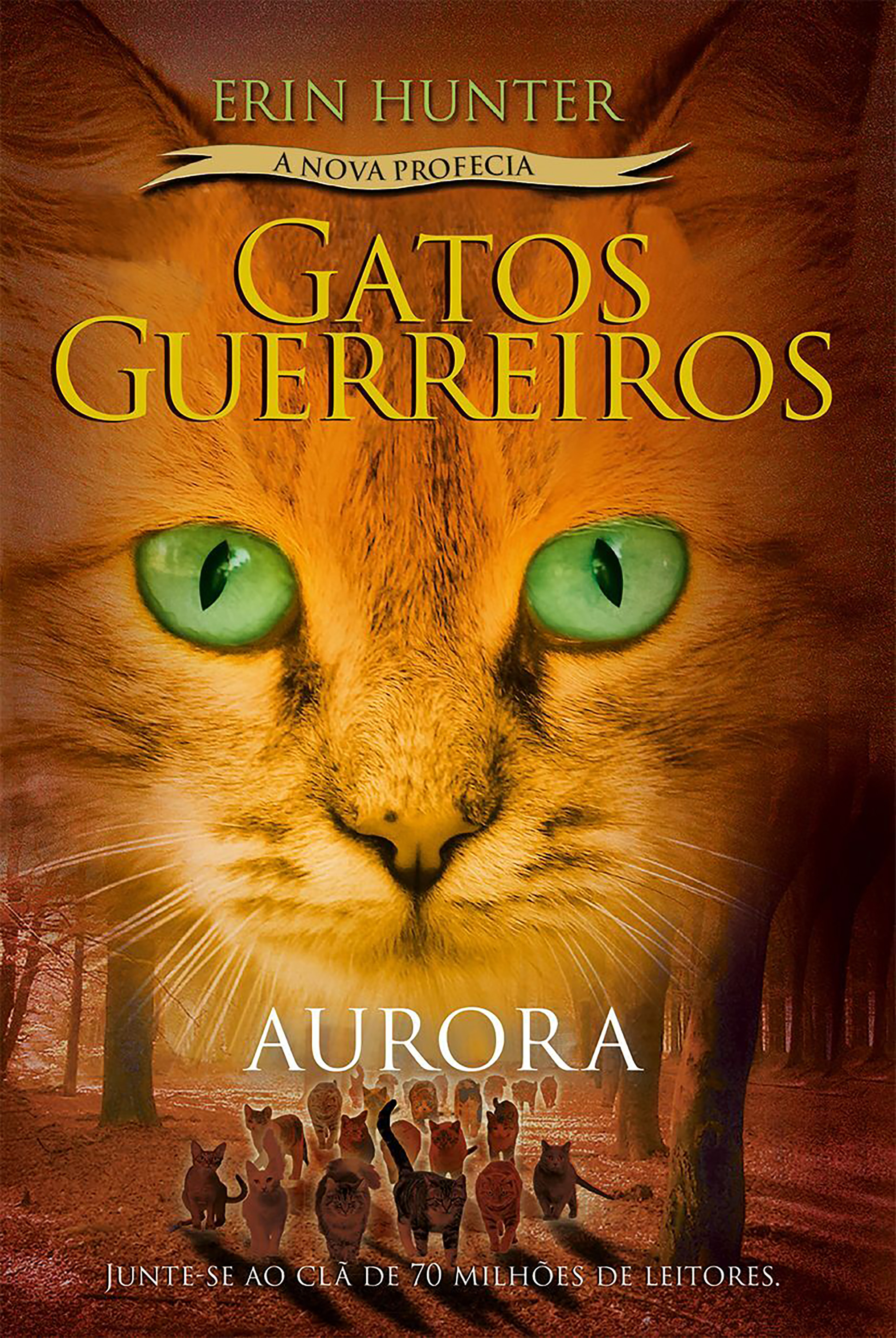 Gatos Guerreiros (A nova profecia) - Aurora