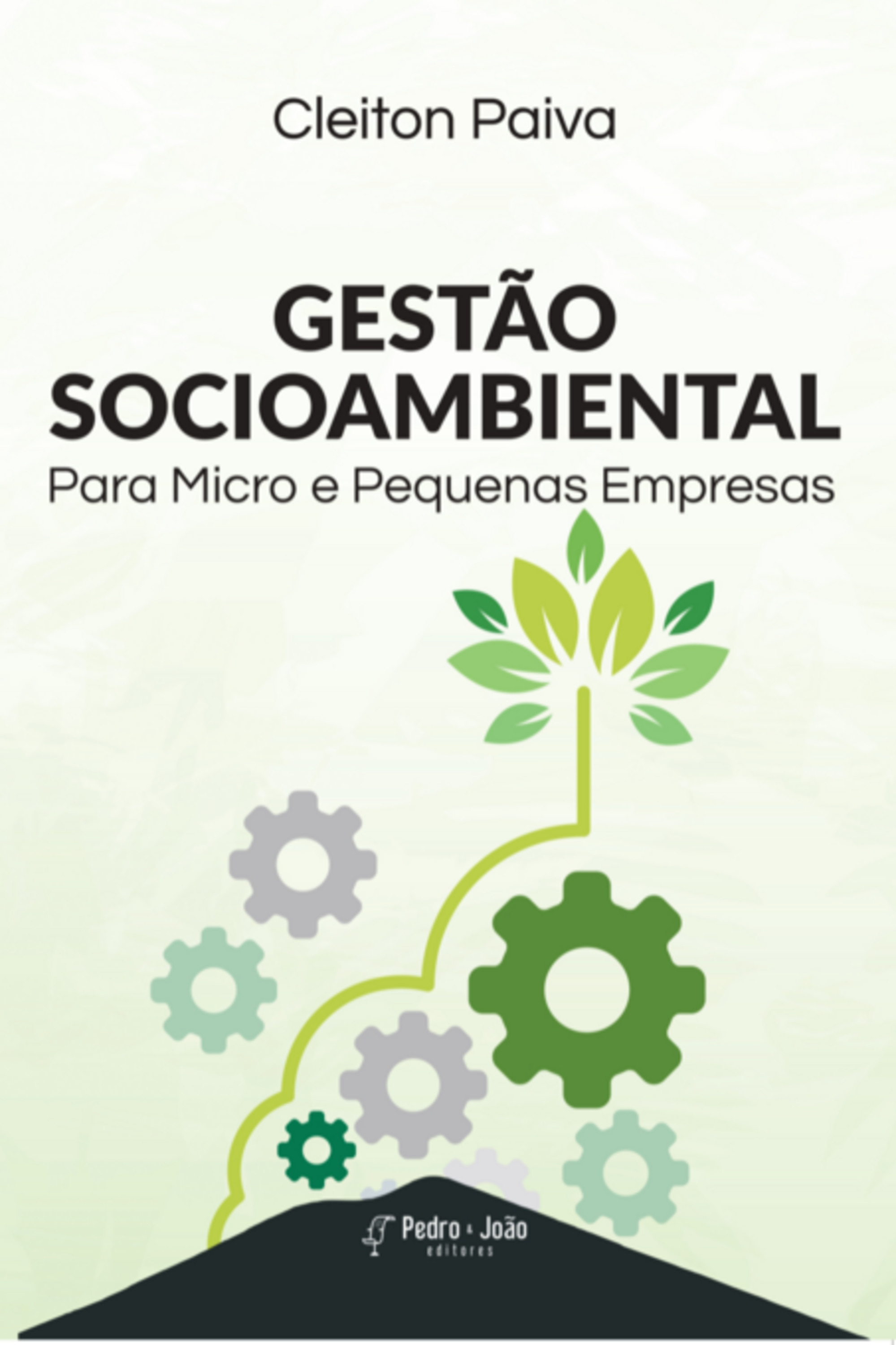 Gestão Socioambiental Para Micro E Pequenas Empresas