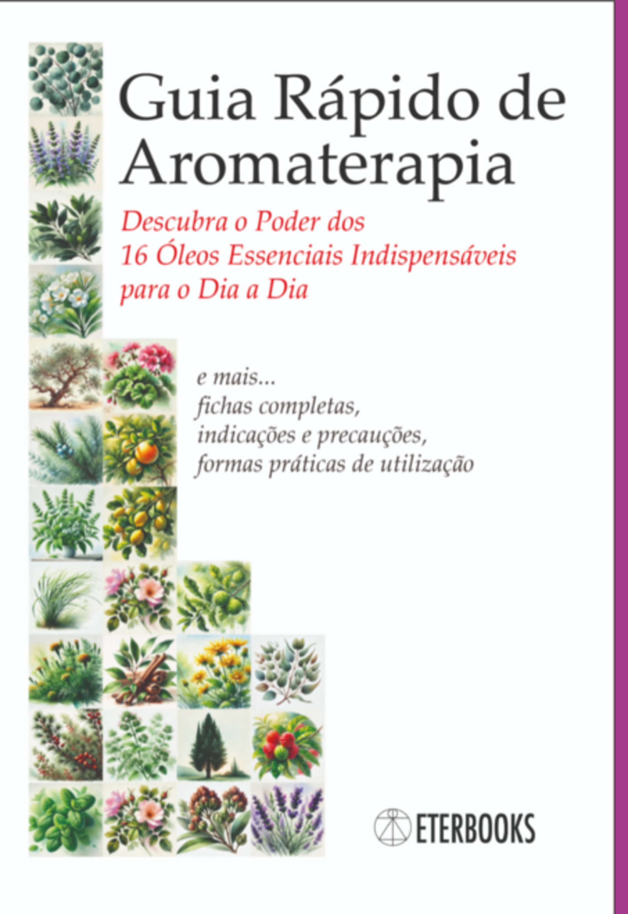 Guia Rápido De Aromaterapia