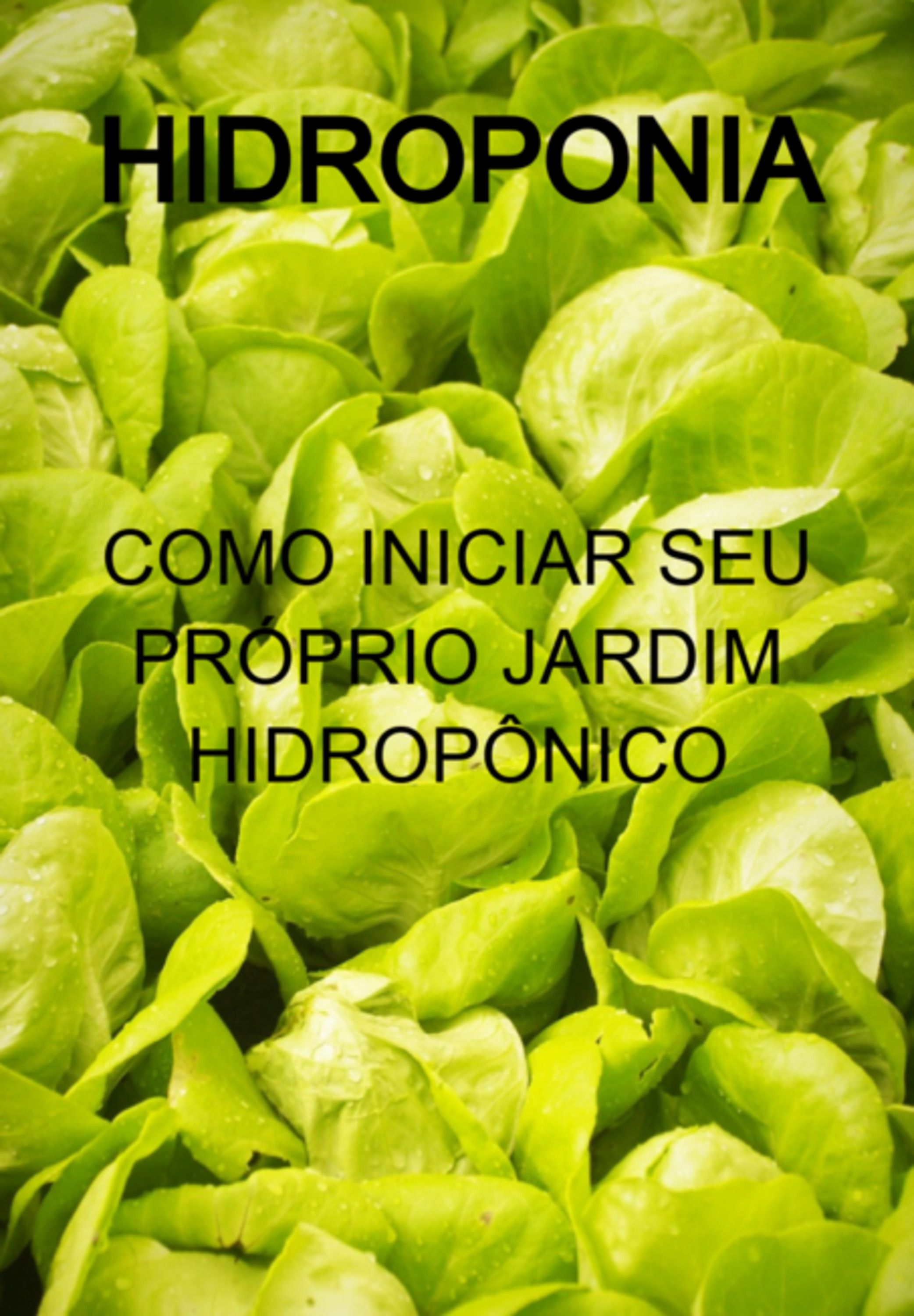 Hidroponia