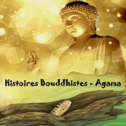 Histoires Bouddhistes - Agama