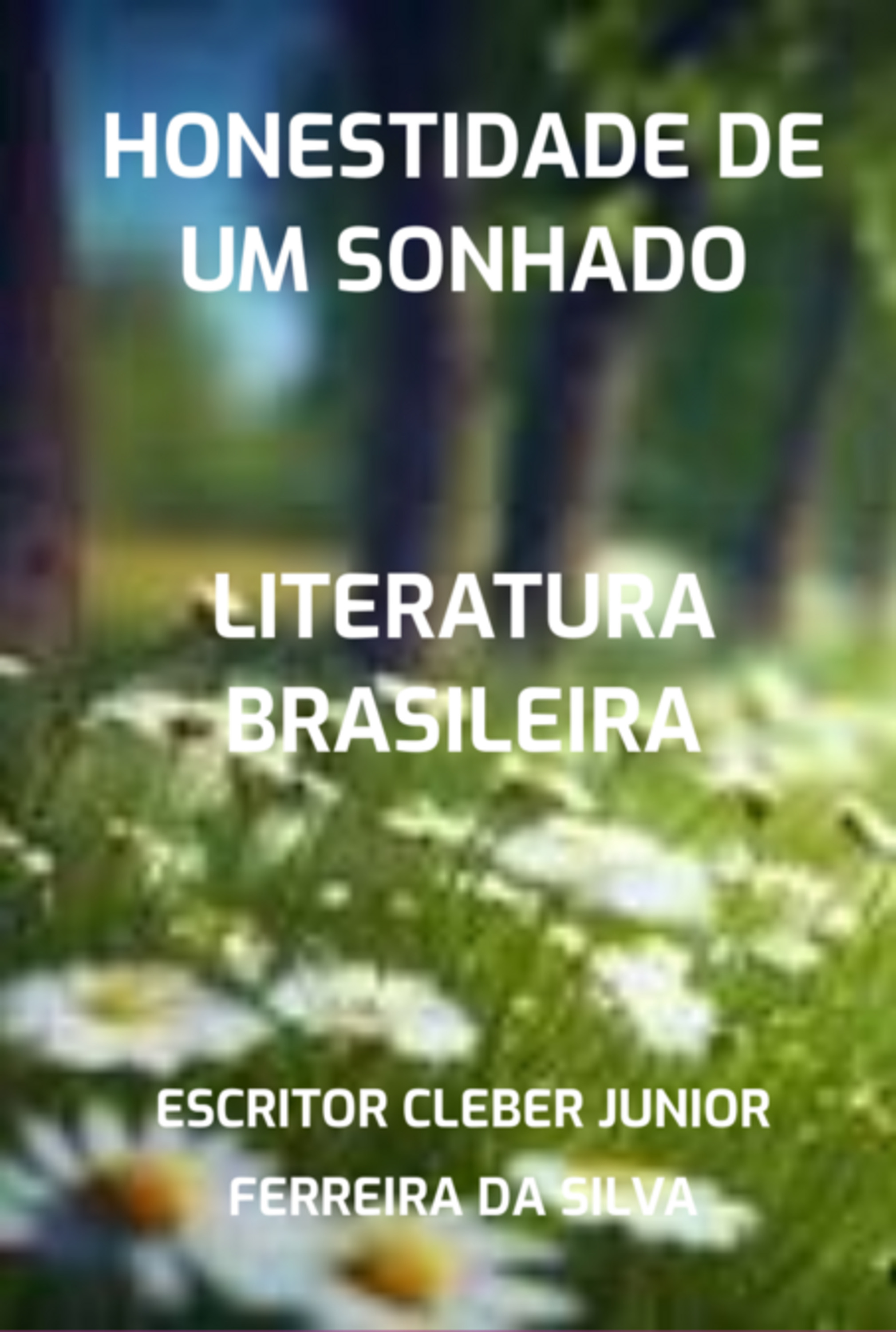 Honestidade De Um Sonhado