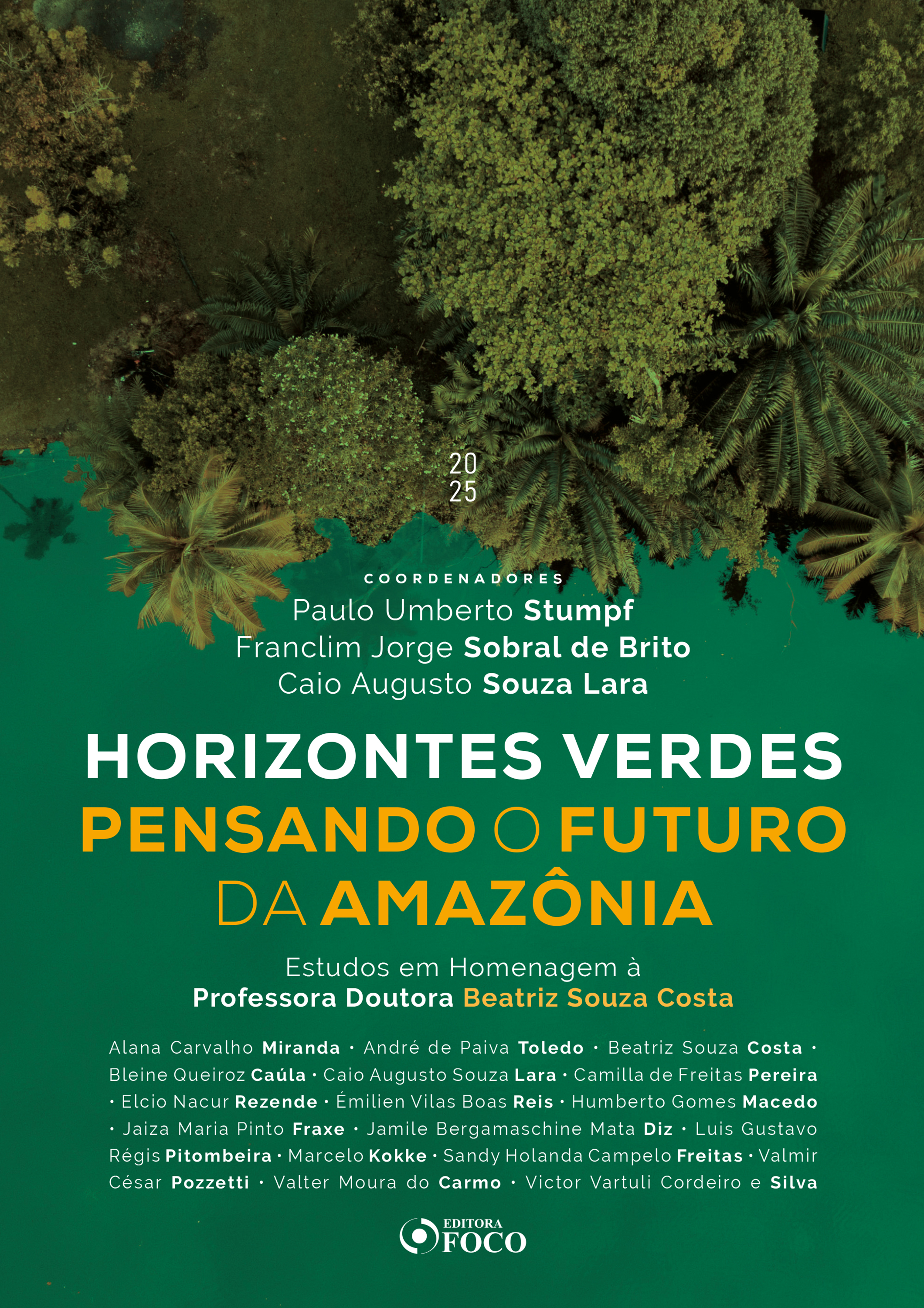HORIZONTES VERDES PENSANDO O FUTURO DA AMAZÔNIA - 1ª ED - 2025