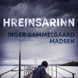 Hreinsarinn