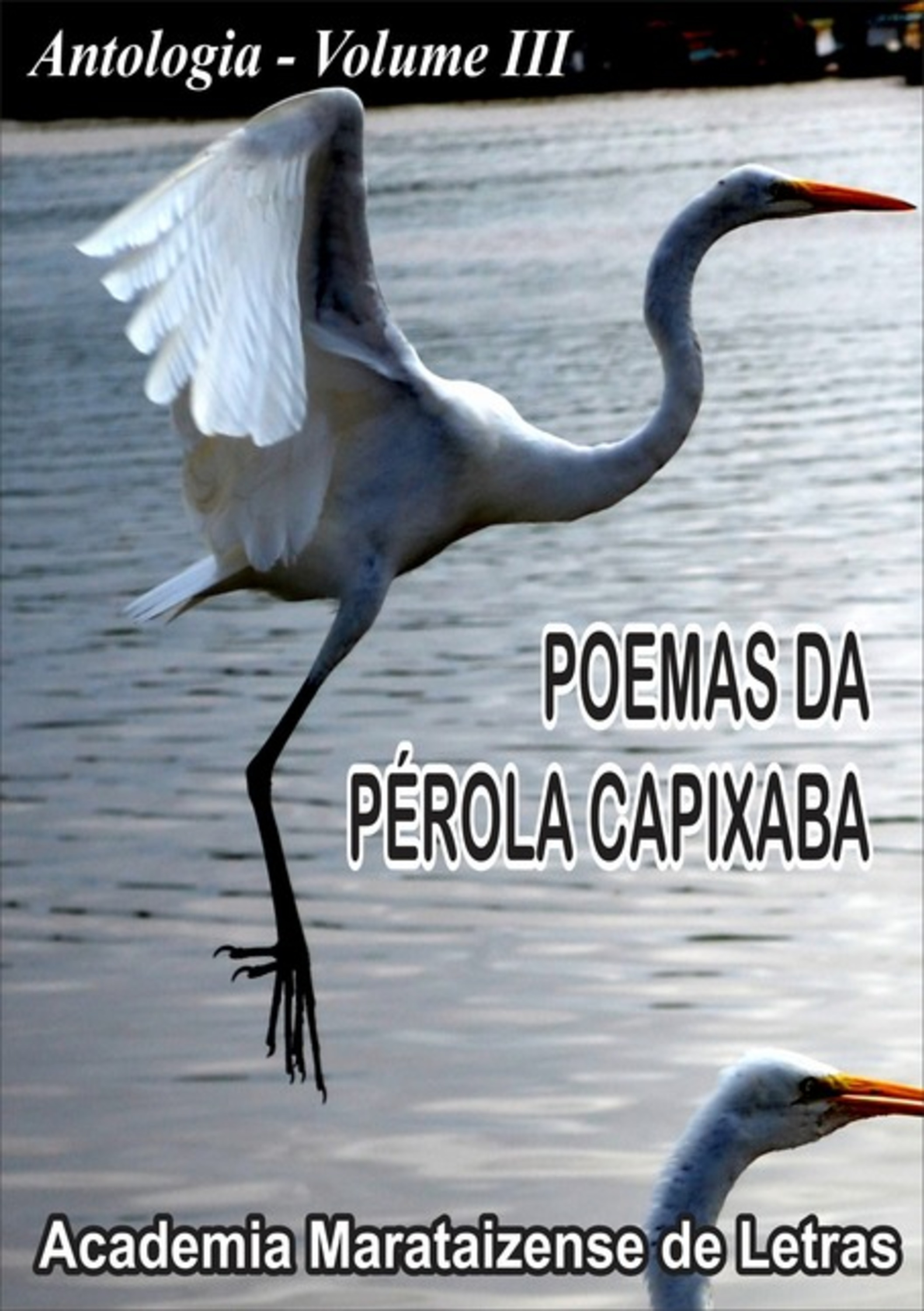 Iii Antologia Poemas Da Pérola Capixaba