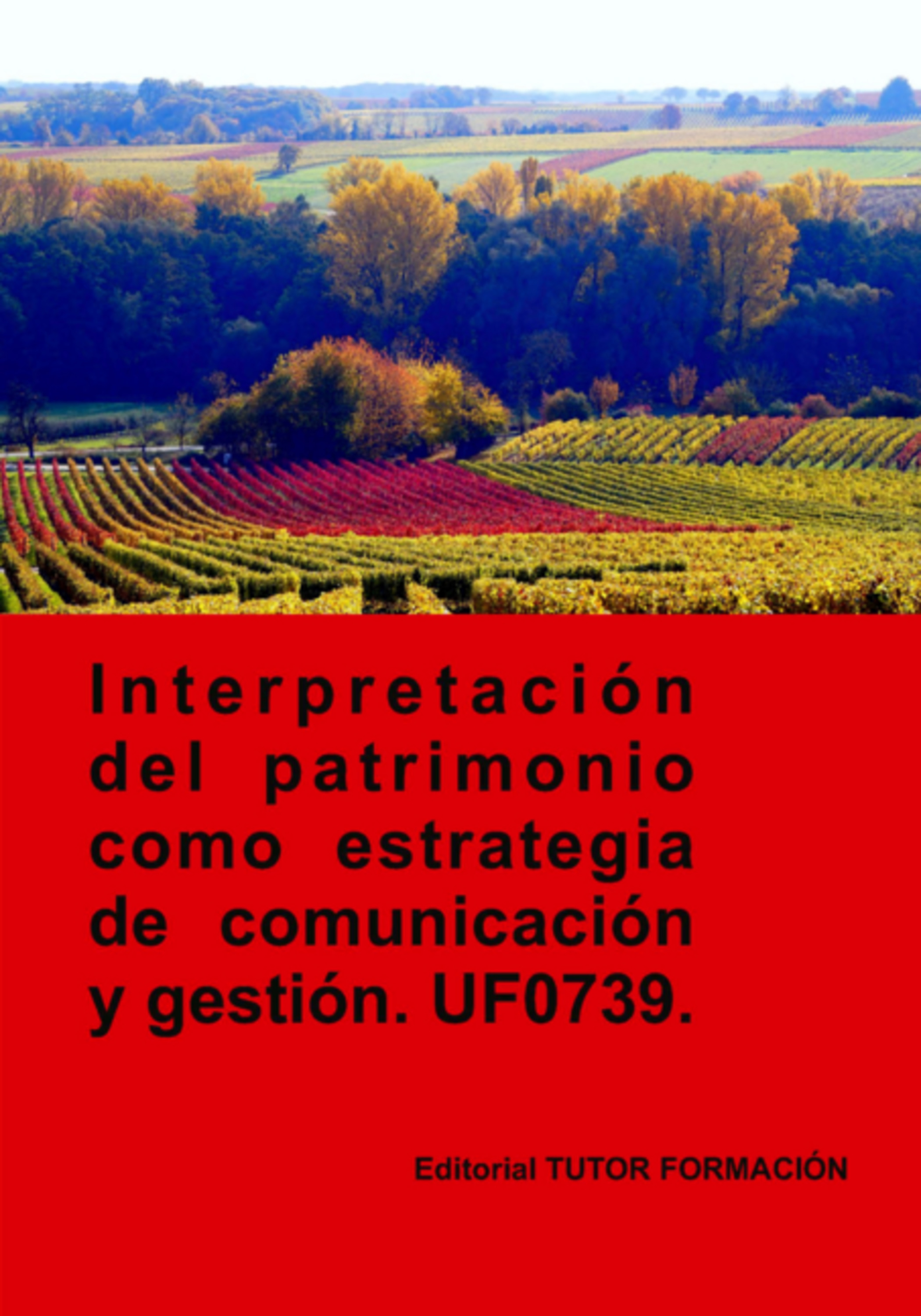 Interpretación Del Patrimonio Como Estrategia De Comunicación Y Gestión. Uf0739.