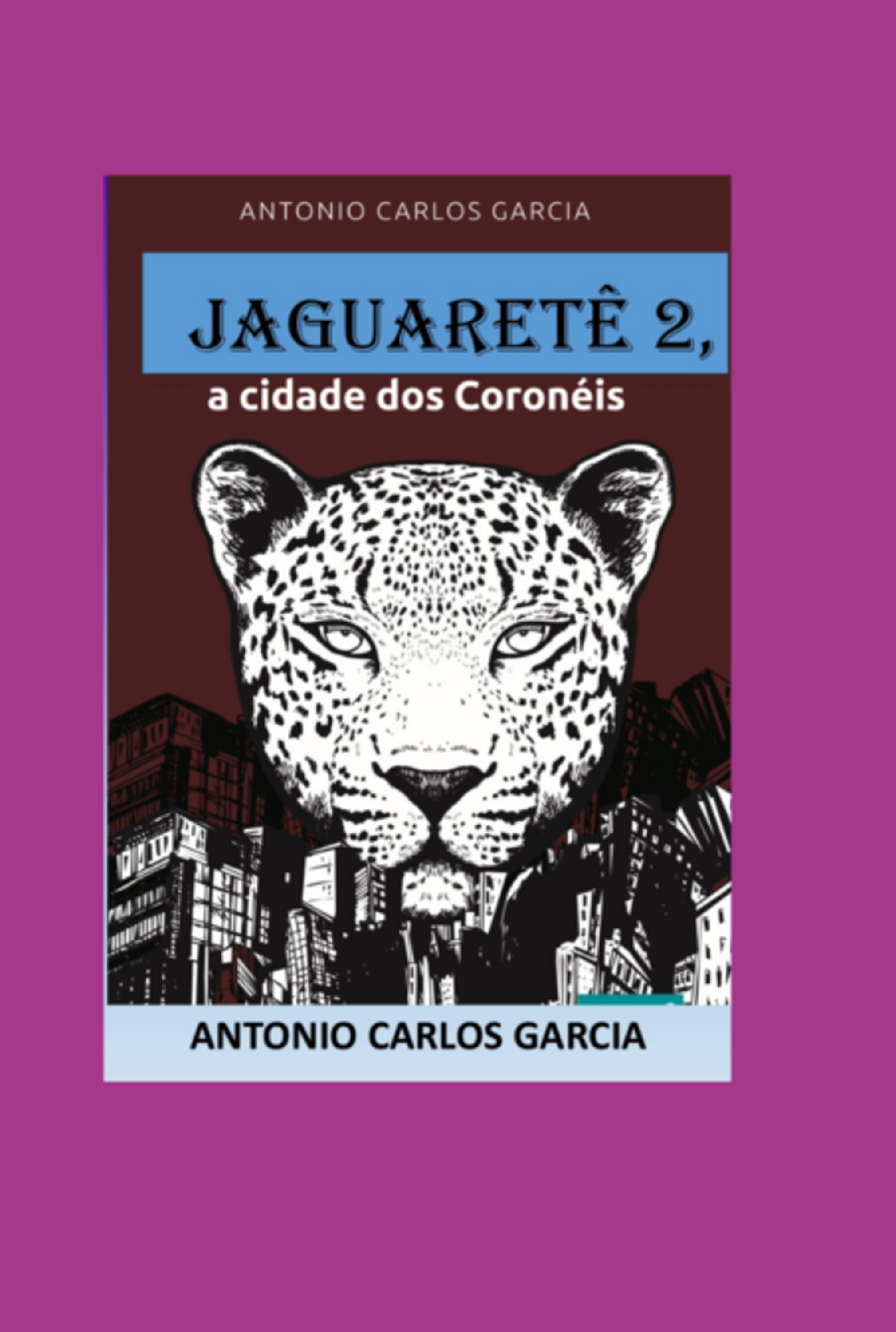 Jaguaretê2, A Cidade Dos Coronéis