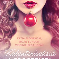 Kalenteriseksiä - 4 eroottista joulunovellia