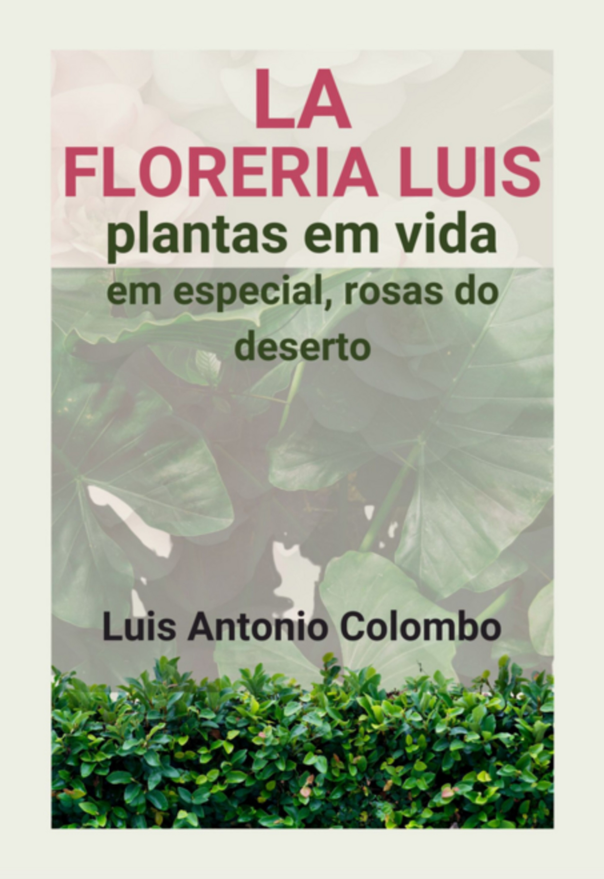 La Floreria Luis. Plantas Em Vida. Em Especial, Rosas Do Deserto