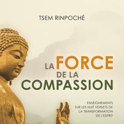 La force de la compassion