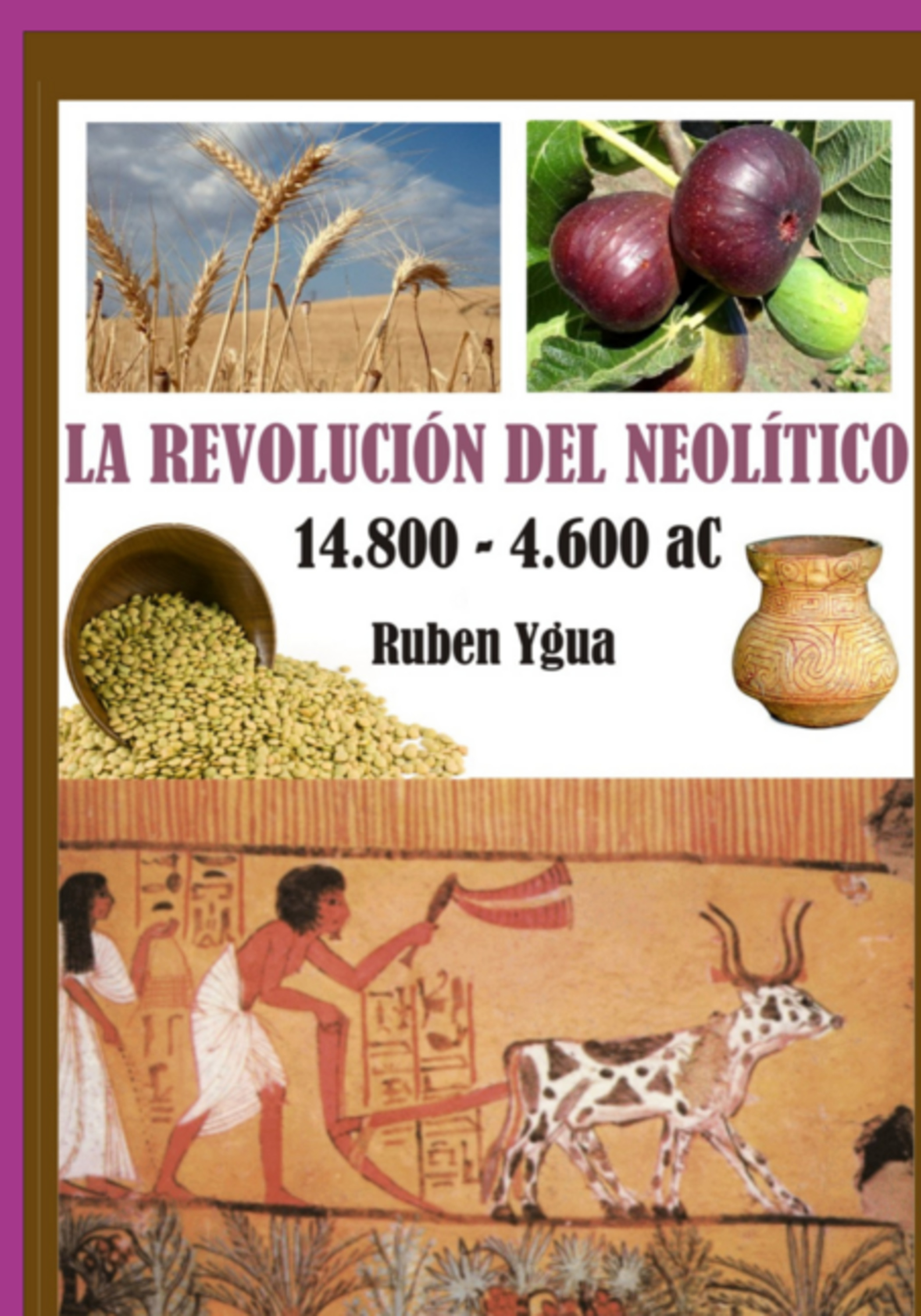 La Revolución Del Neolitico