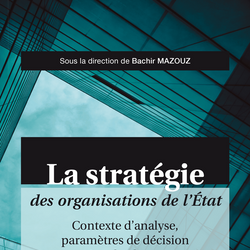 La stratégie des organisations de l’État