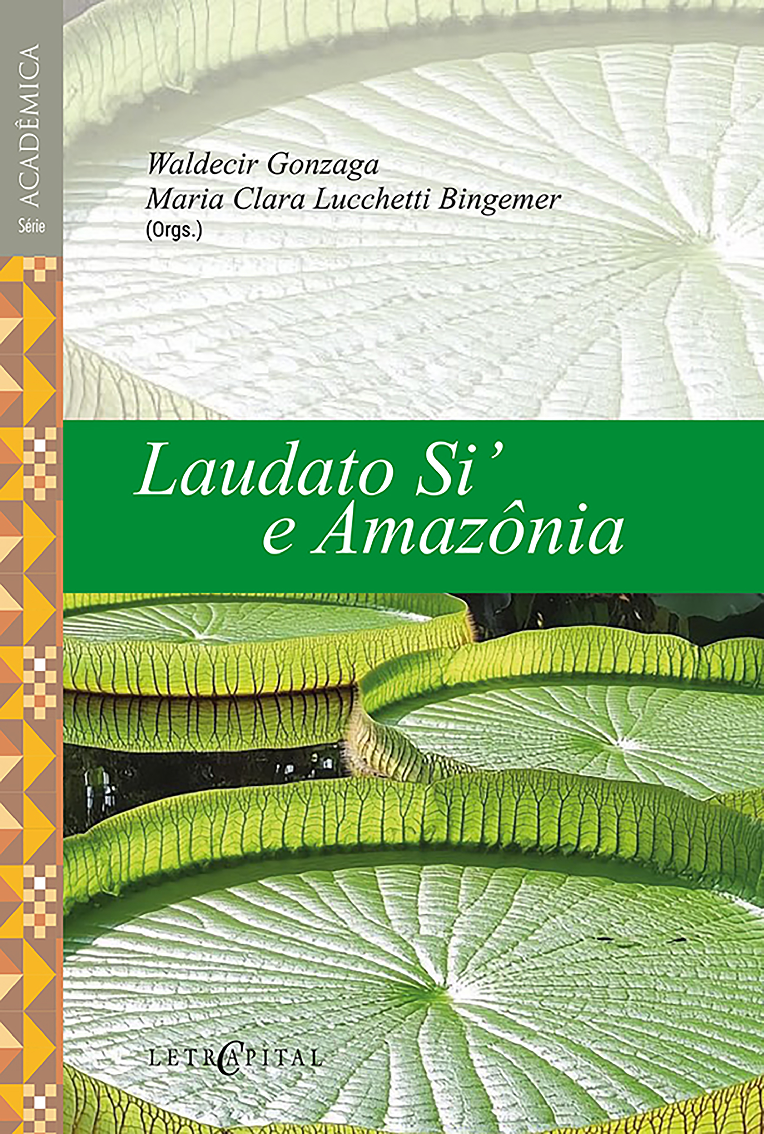 Laudato Si' e Amazônia