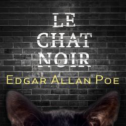 Le Chat noir