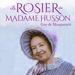 Le Rosier de Madame Husson