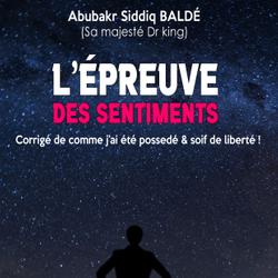 L’Épreuve des sentiments