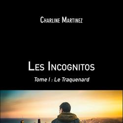 Les Incognitos