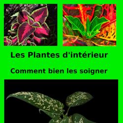 Les Plantes d'intérieur