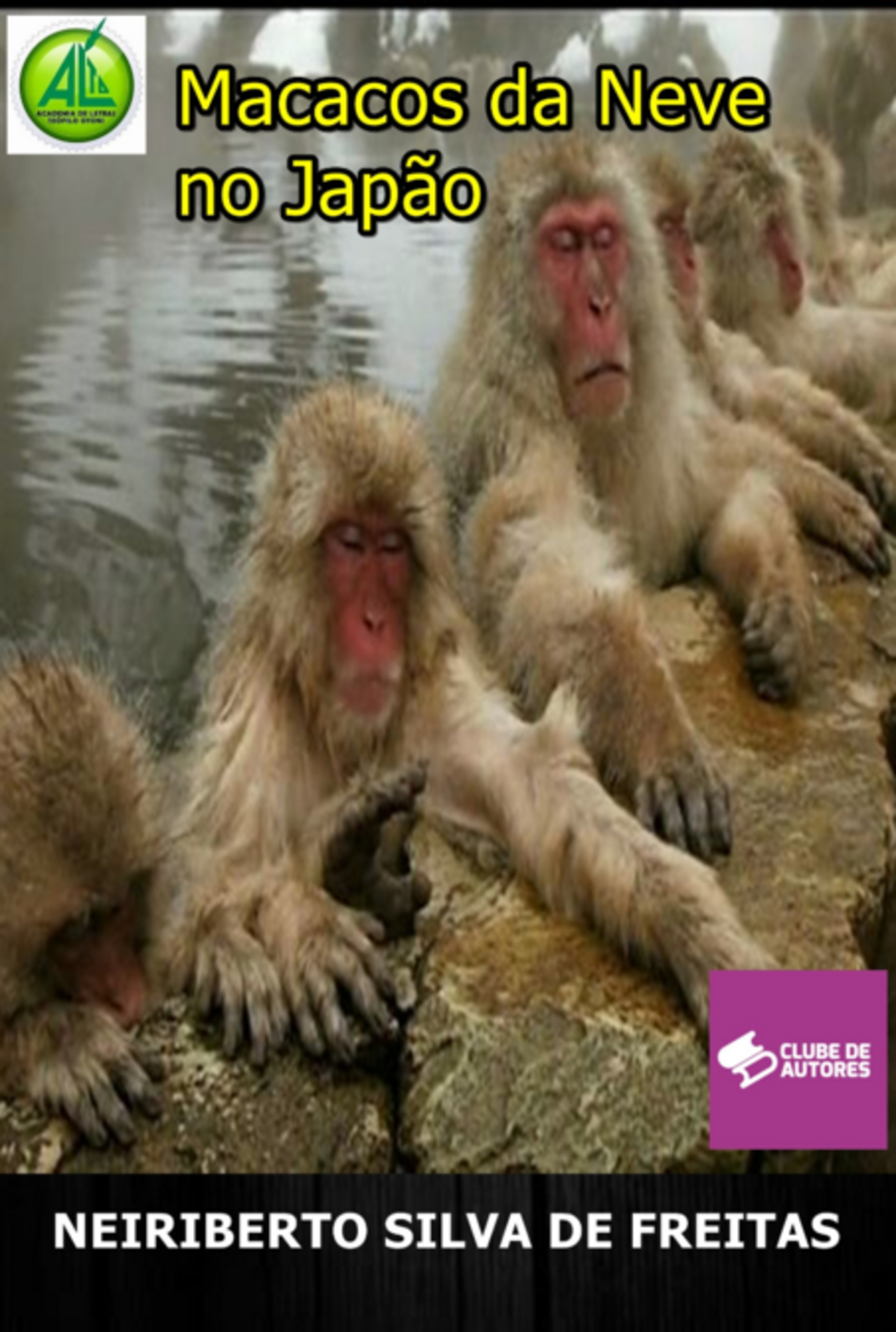 Macacos Da Neve No Japão