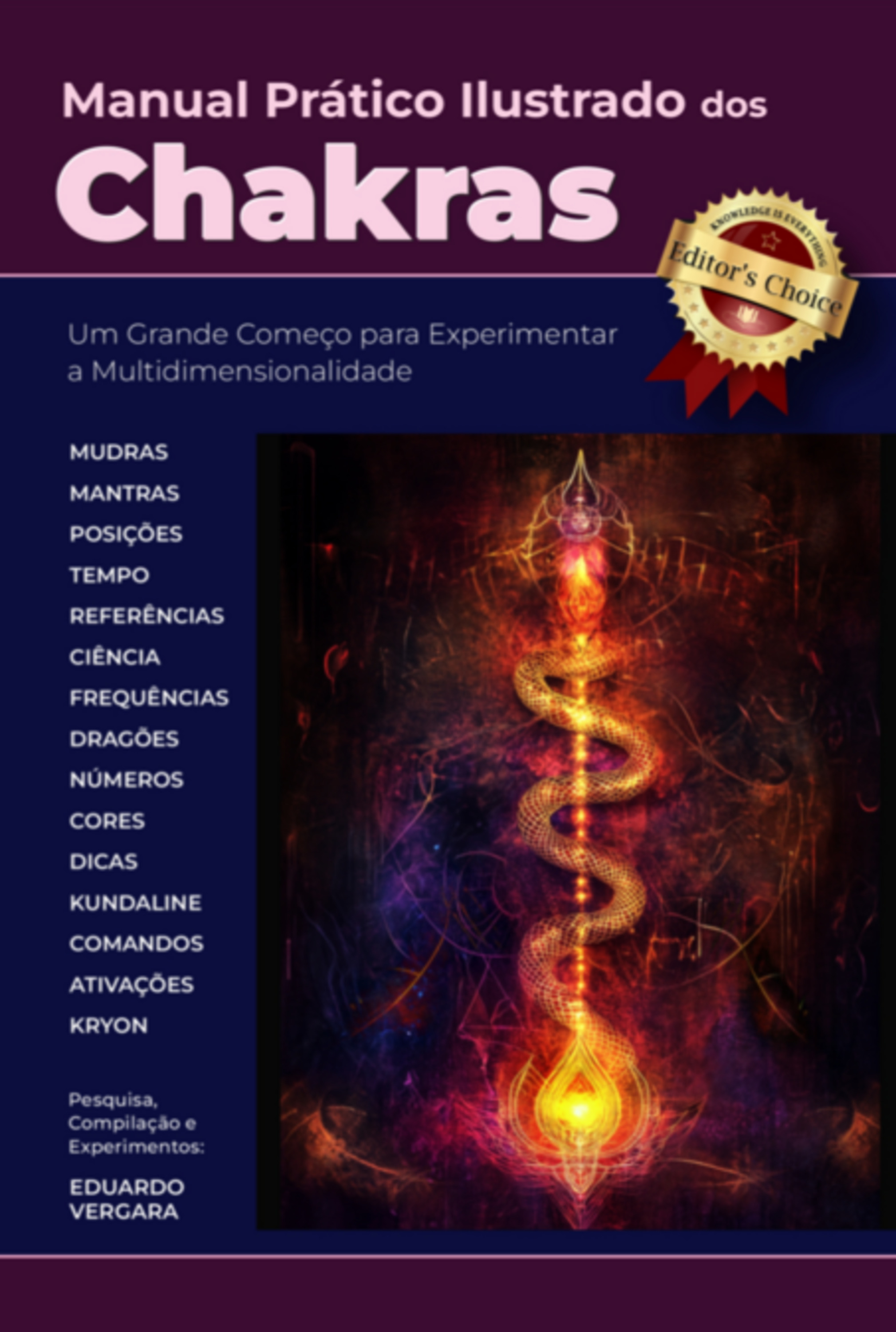 Manual Prático Ilustrado Dos Chakras