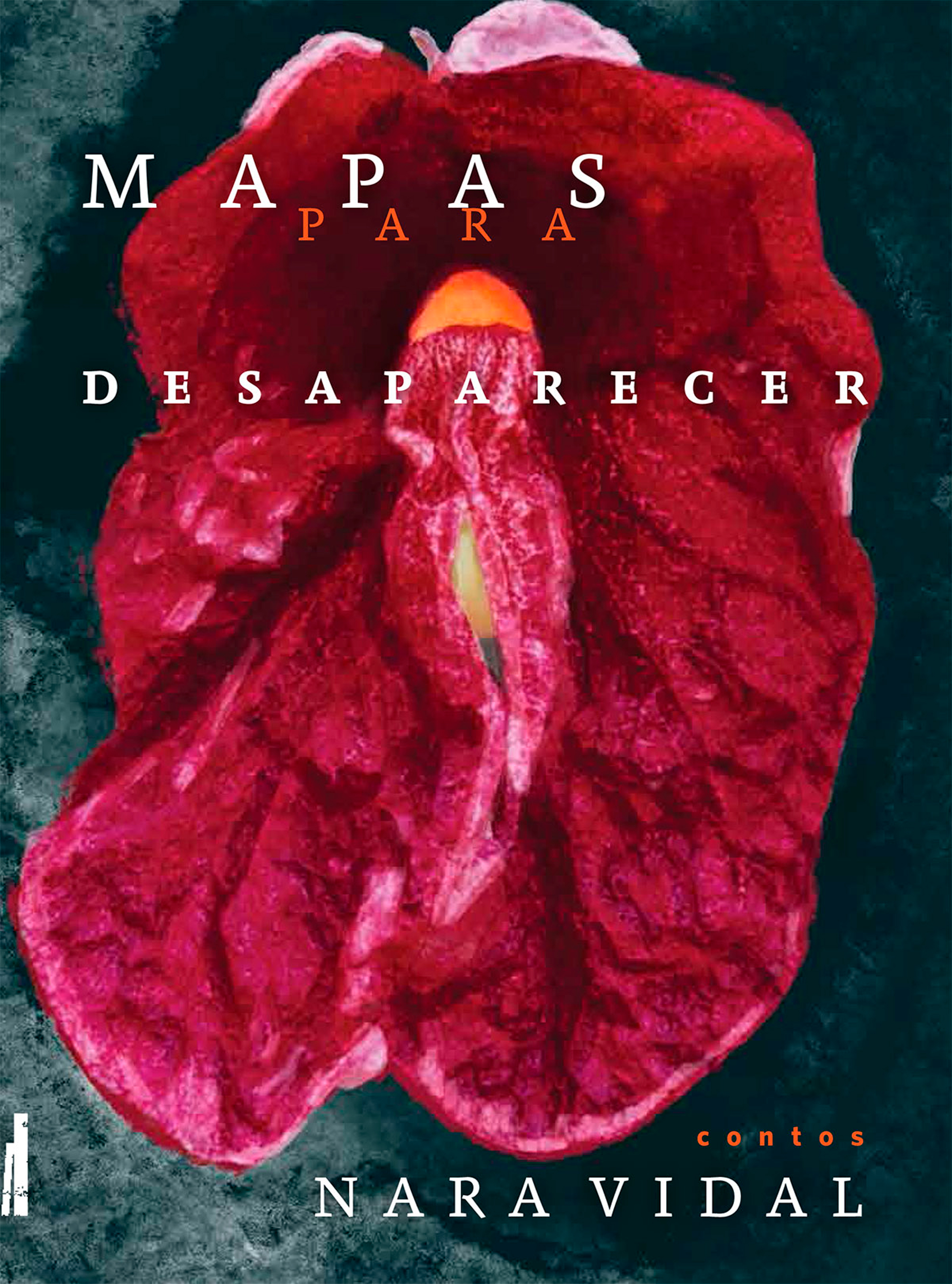 Mapas para desaparecer