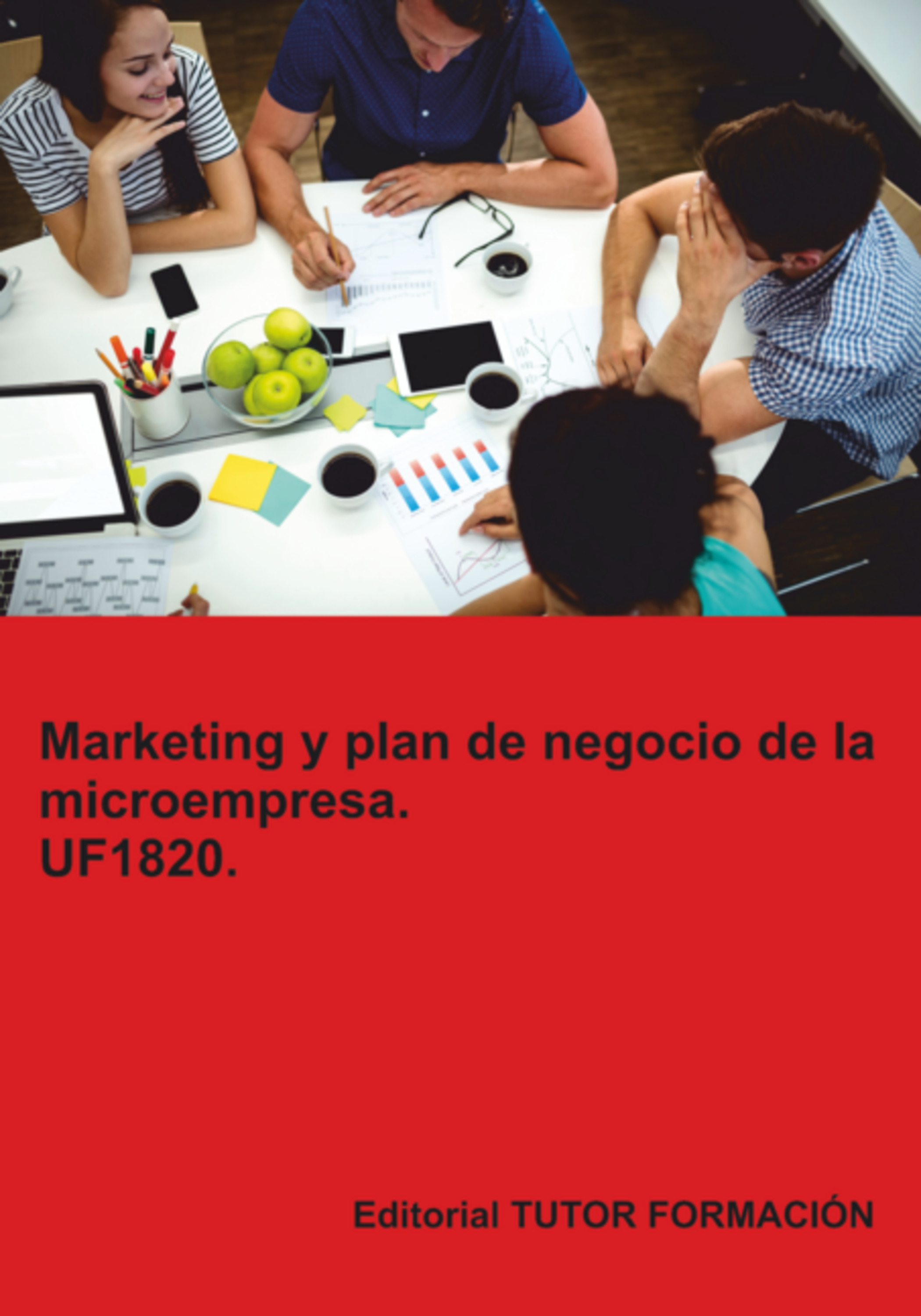 Marketing Y Plan De Negocio De La Microempresa. Uf1820.