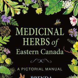 Medicinal Herbs of Eastern Canada