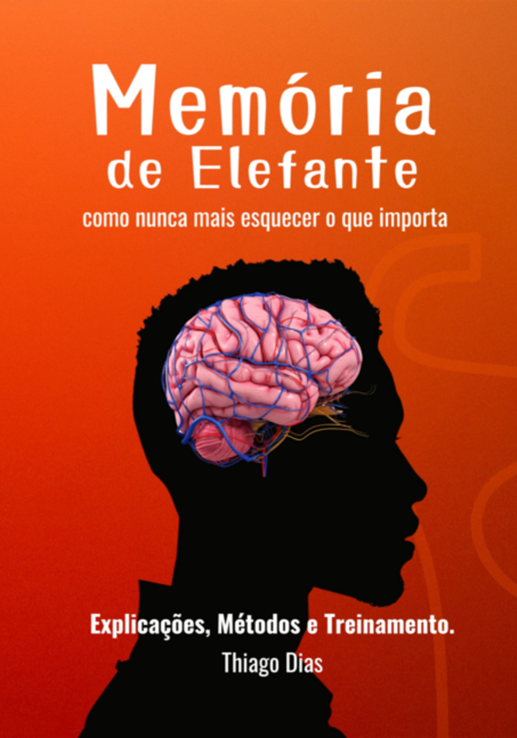 Memória De Elefante