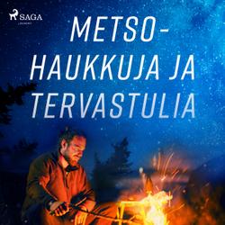 Metsohaukkuja ja tervastulia