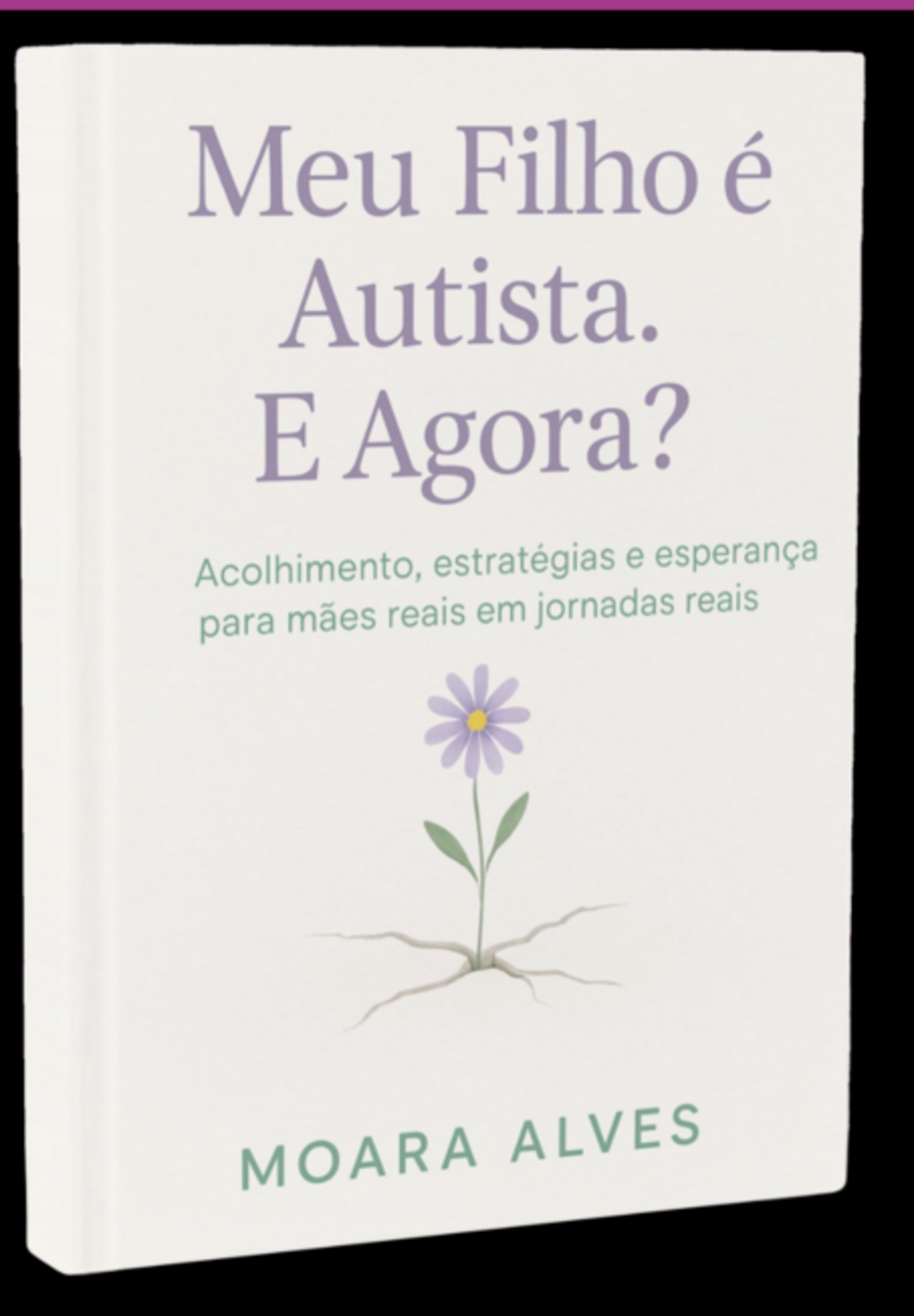 Meu Filho É Autista. E Agora ?