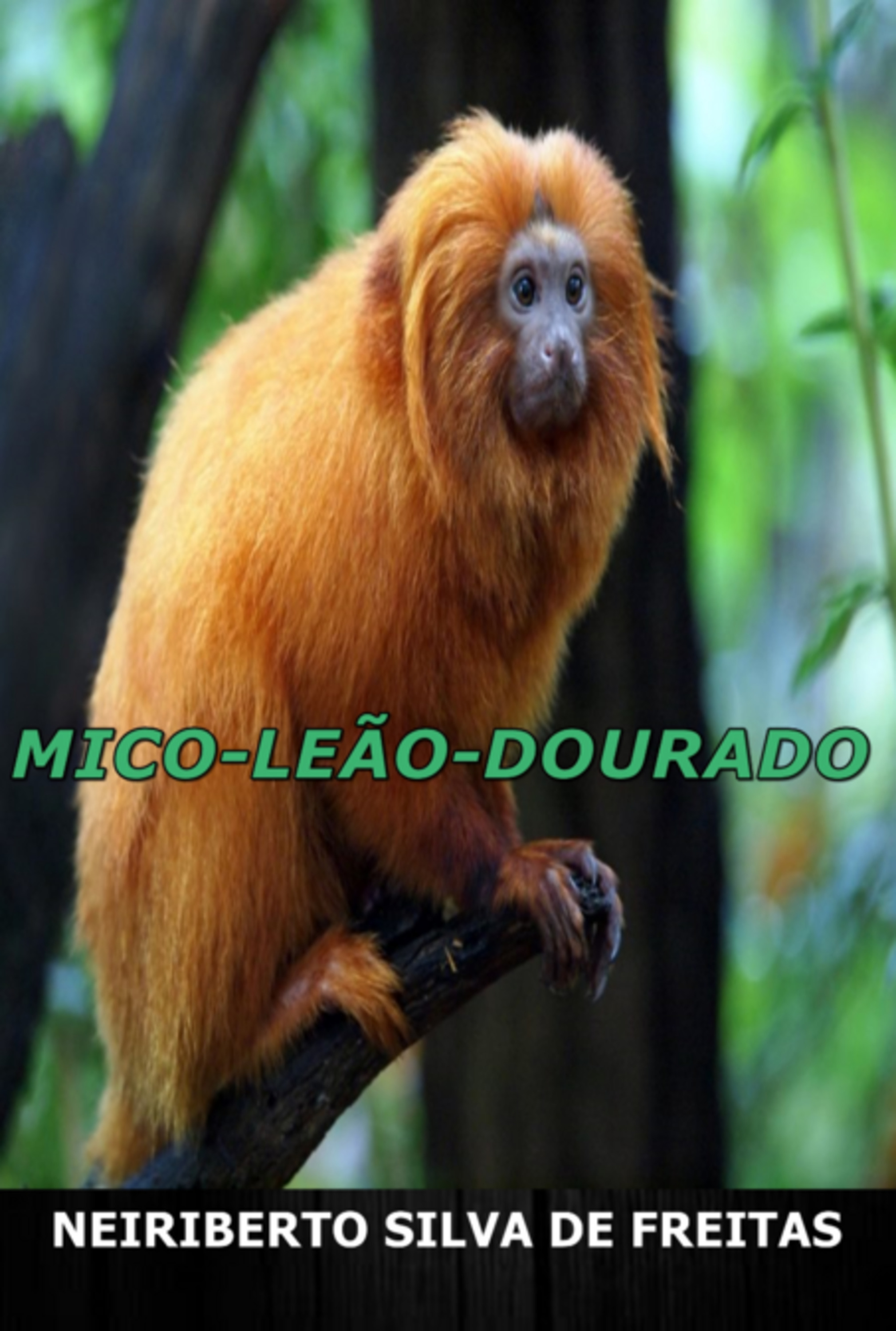 Mico-leão-dourado