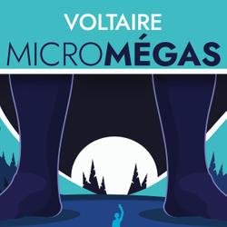 Micromégas