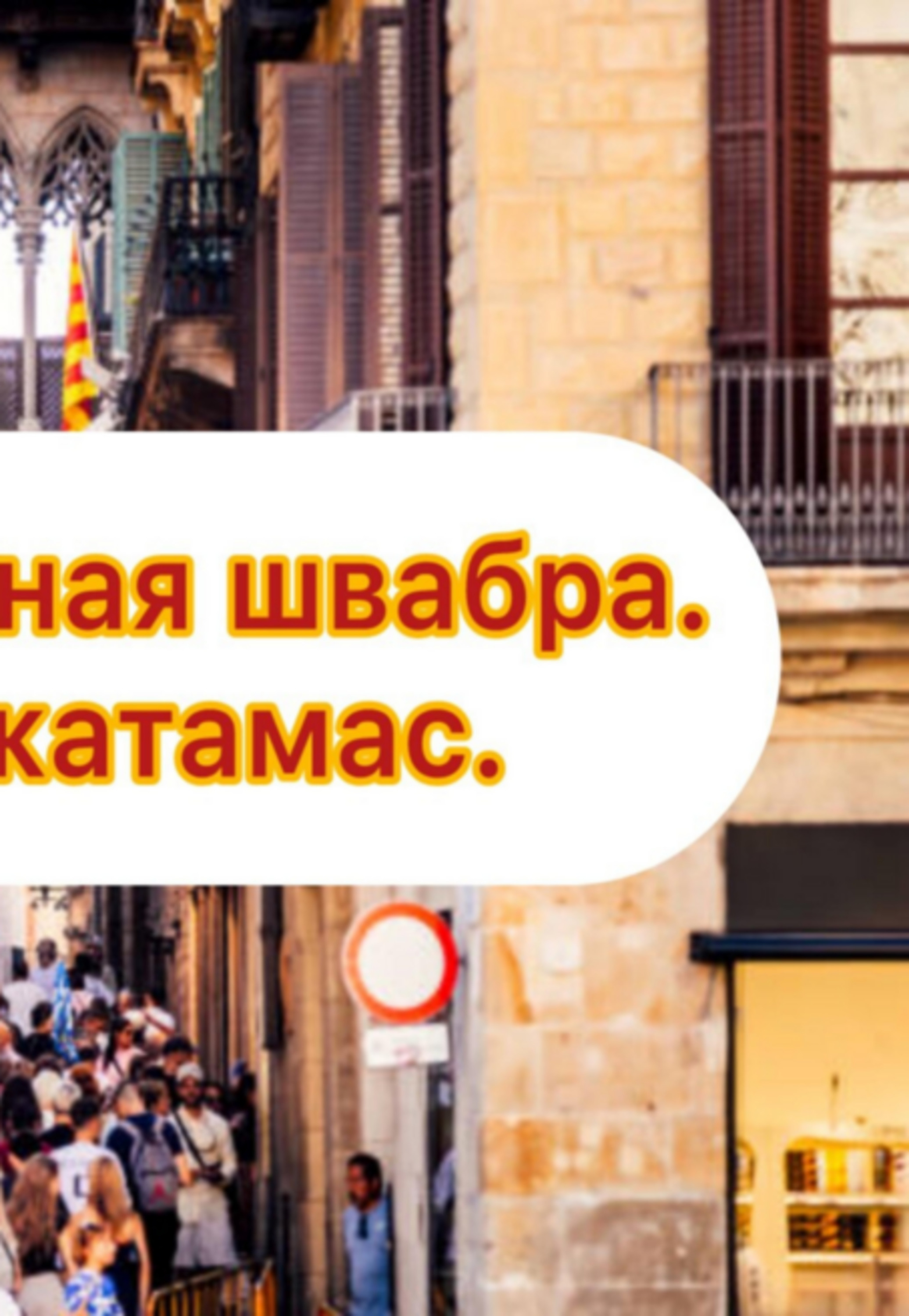 Прославленная швабра.