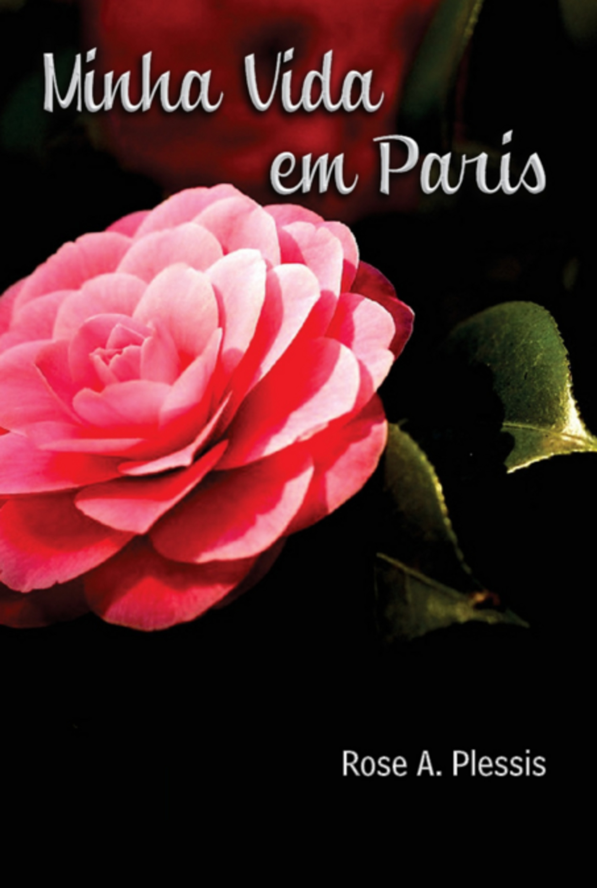 Minha Vida Em Paris