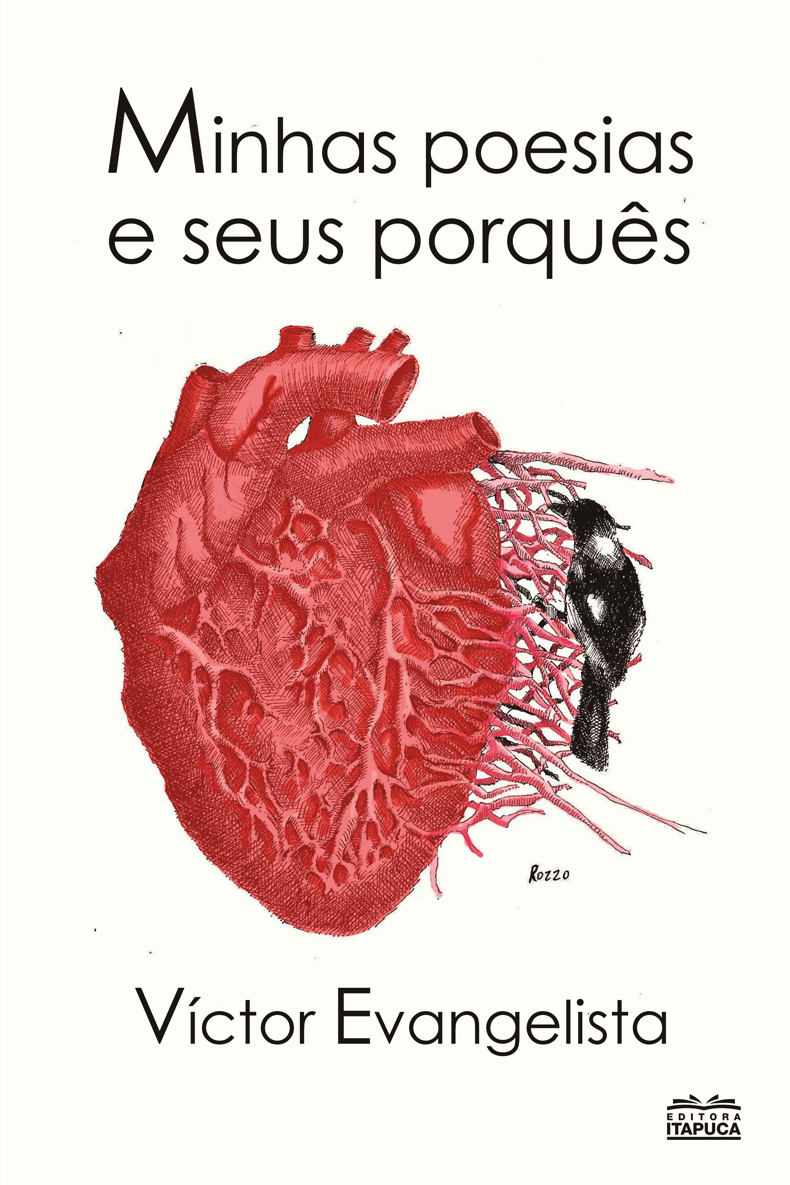 Minhas poesias e seus porquês