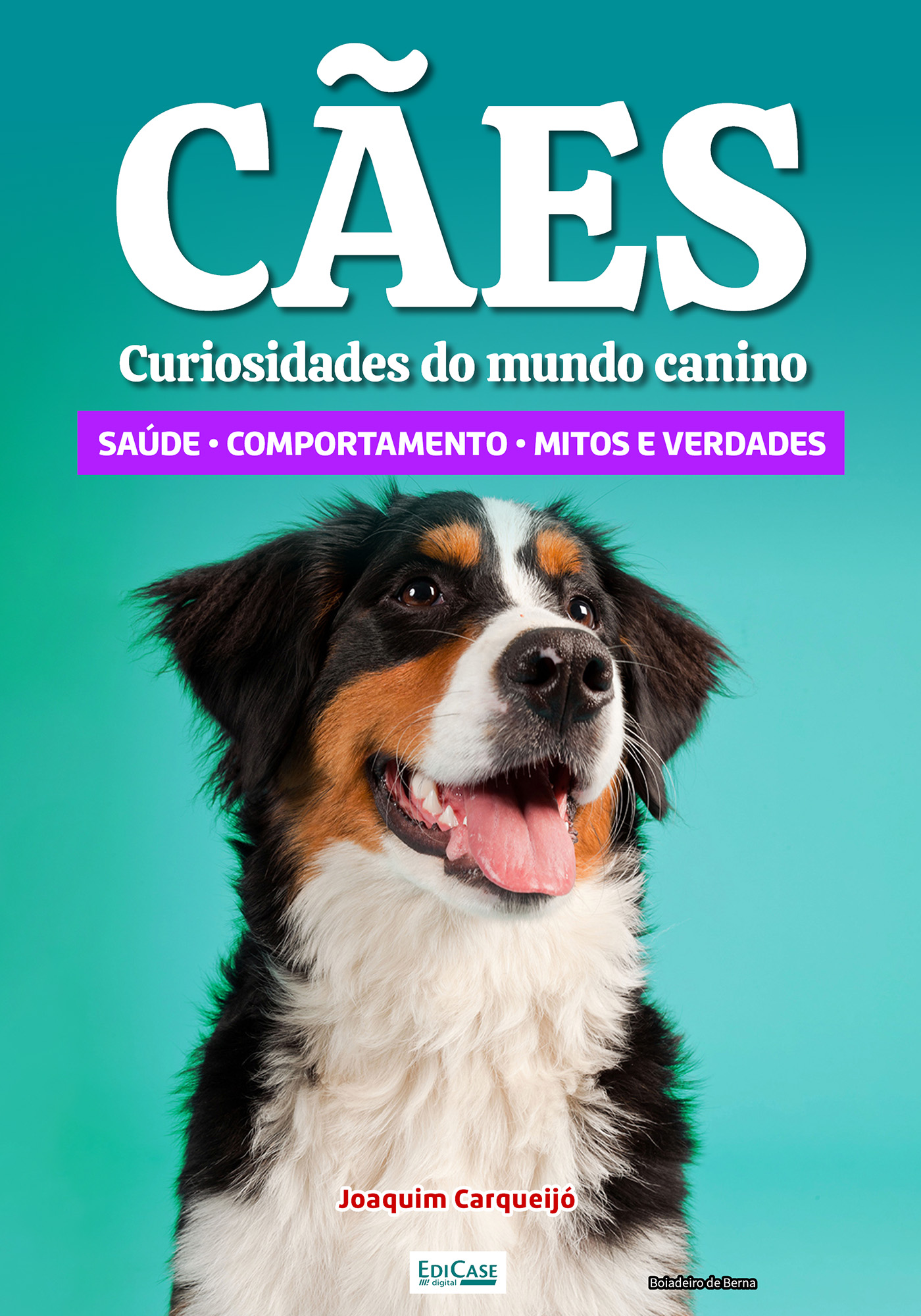 Minibook Cachorro