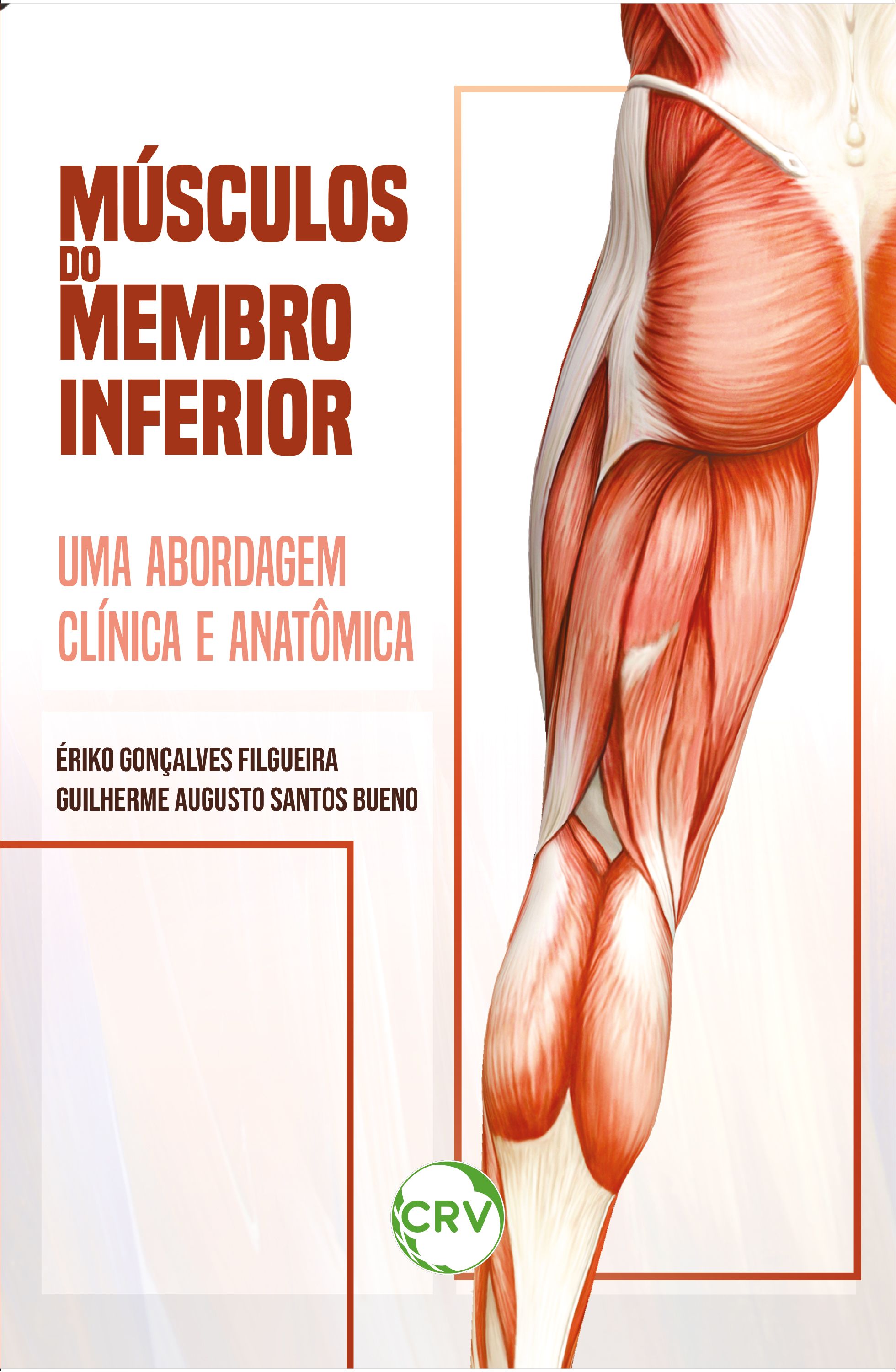 Músculos do membro inferior