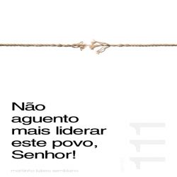 Não aguento mais liderar este povo, Senhor! - Sermão 111