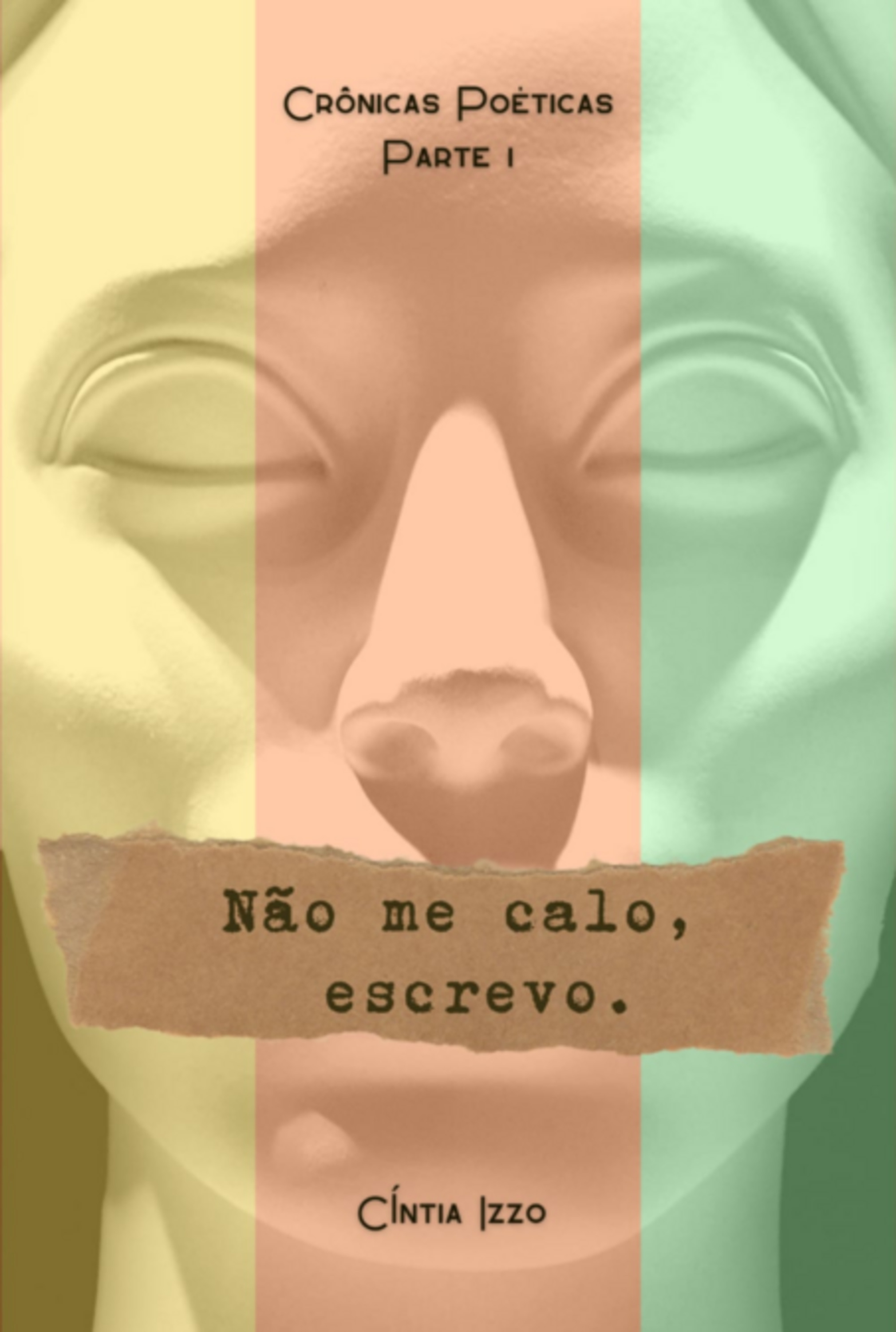 Não Me Calo, Escrevo.
