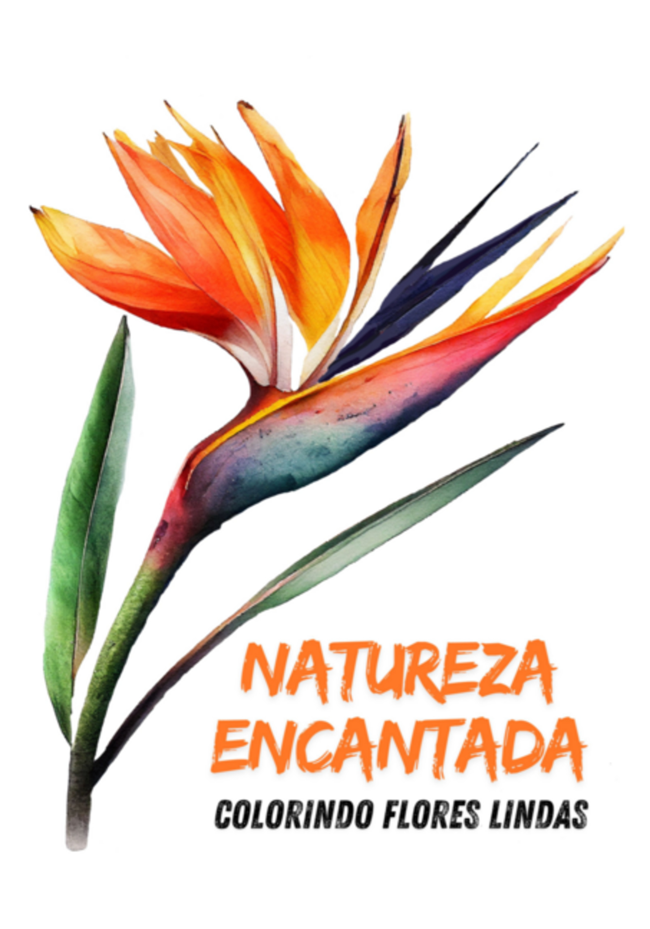 Natureza Encantada